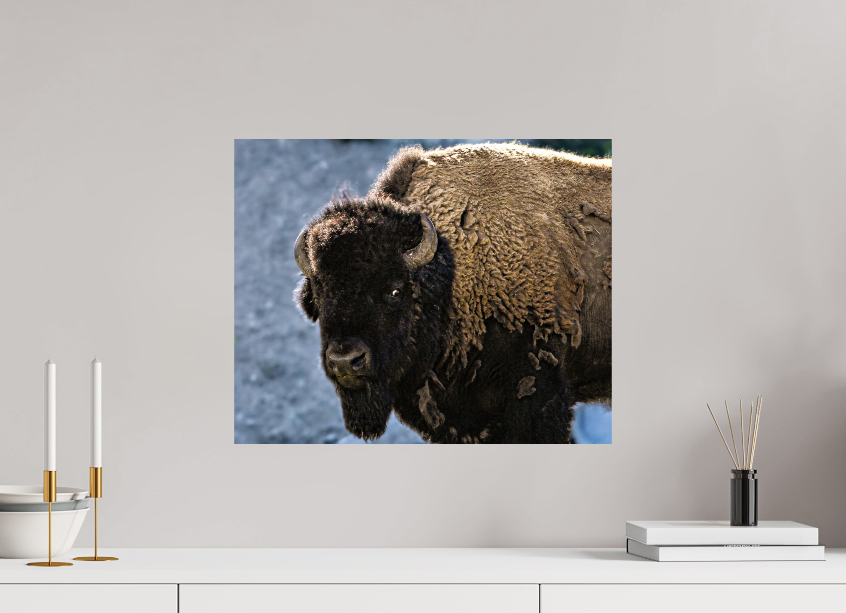 19.7 x 16″, METAL Bison