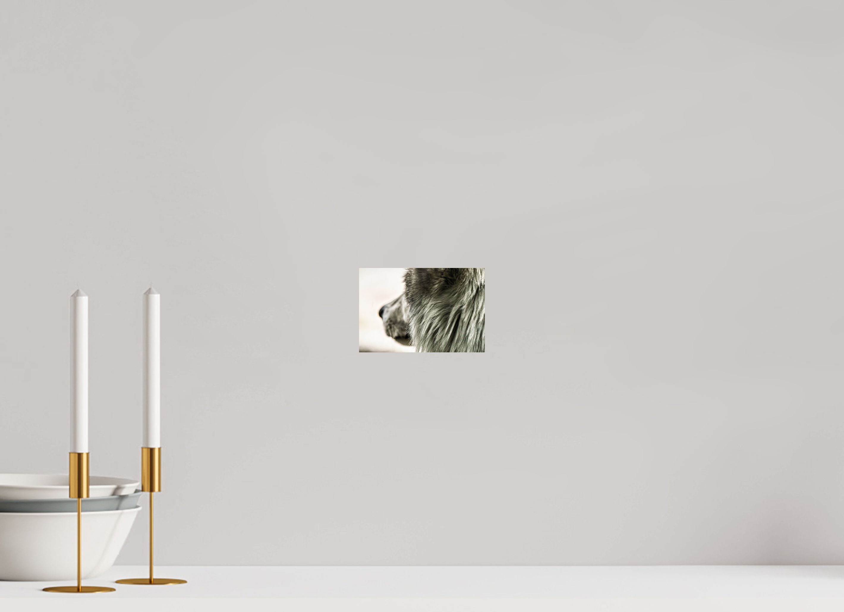 6 x 4″, PHOTO PAPER Wolf