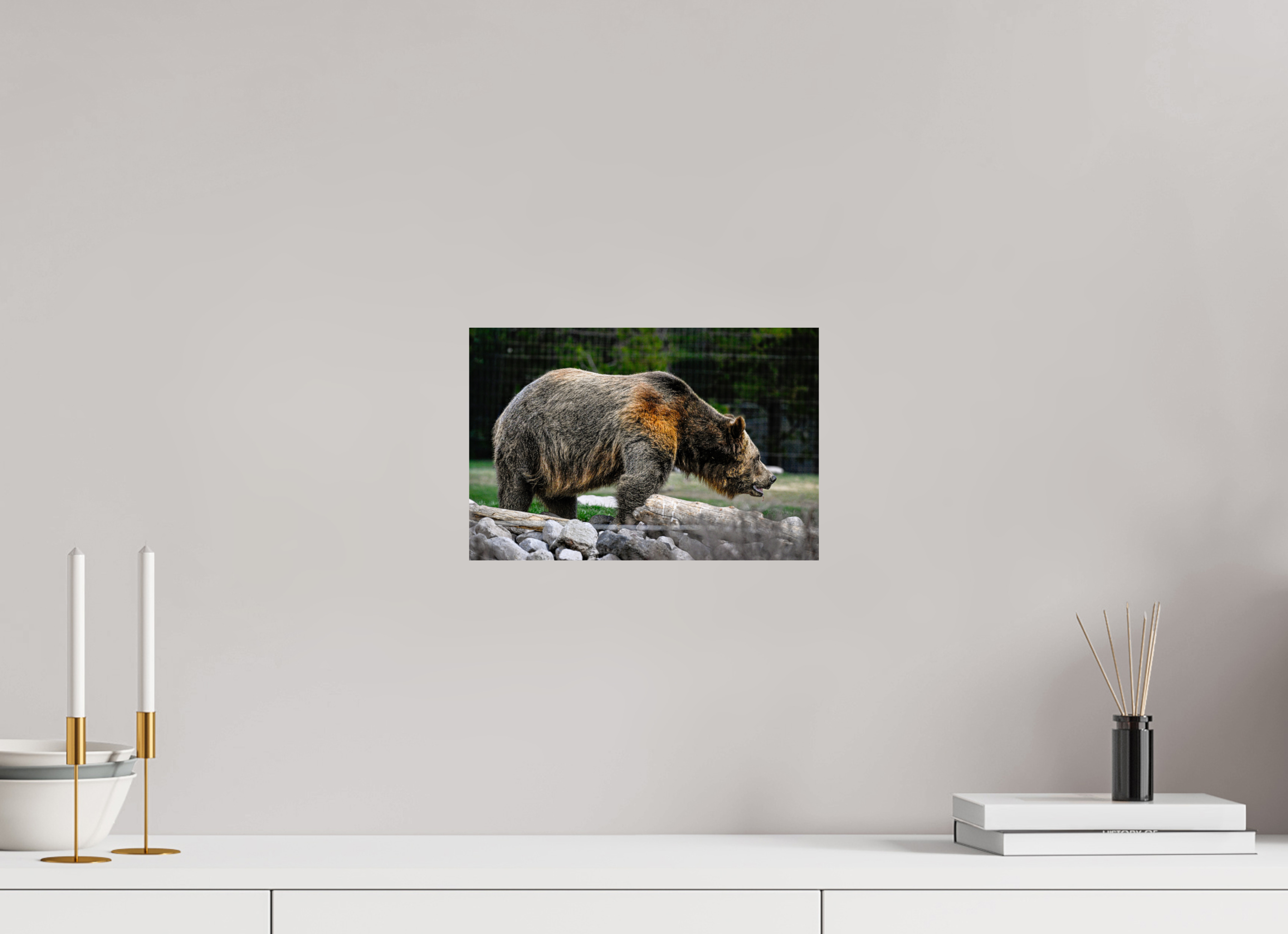 12 x 8″, METAL Bear