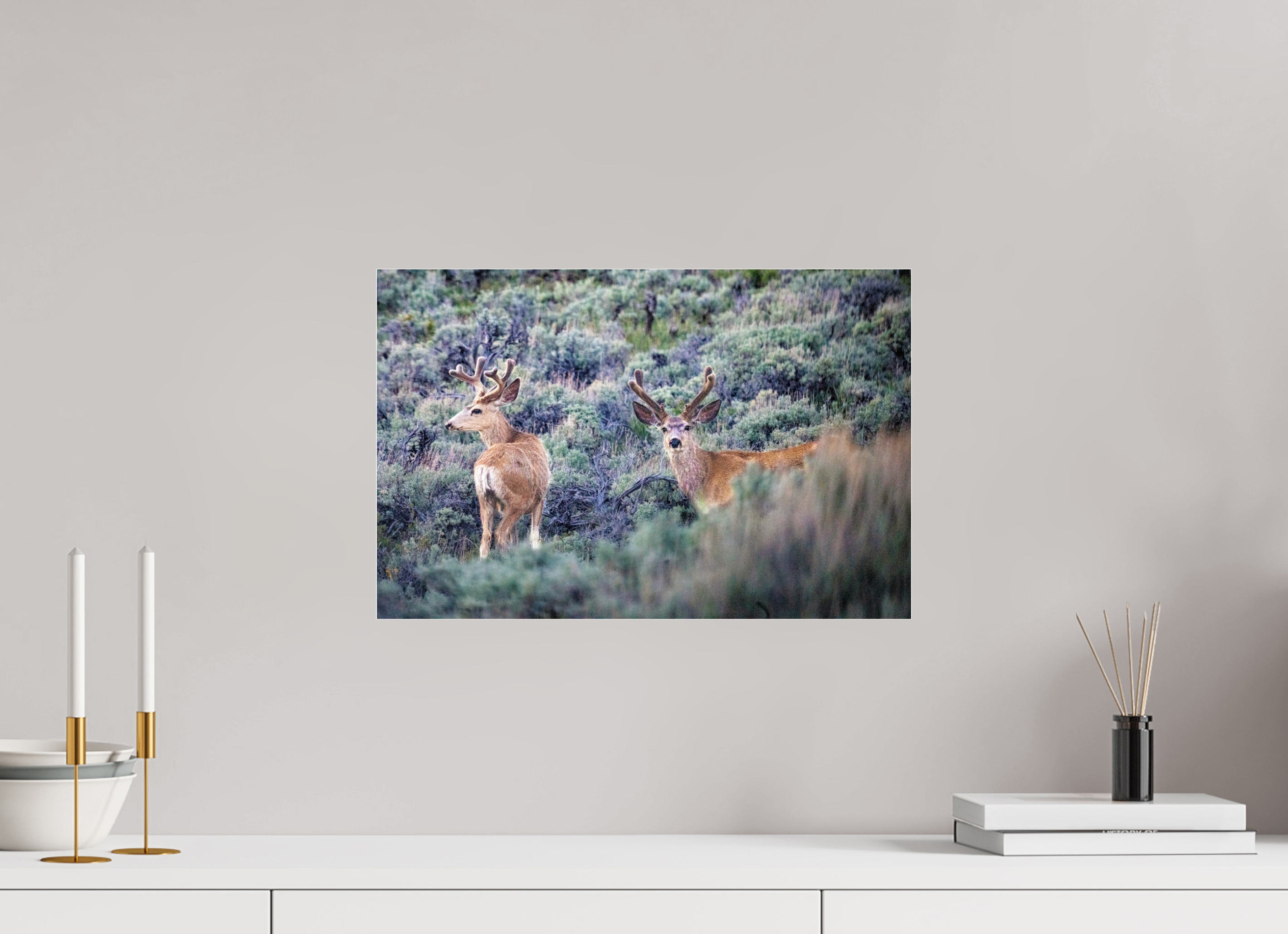 18.3 x 12″, ACRYLIC Deer