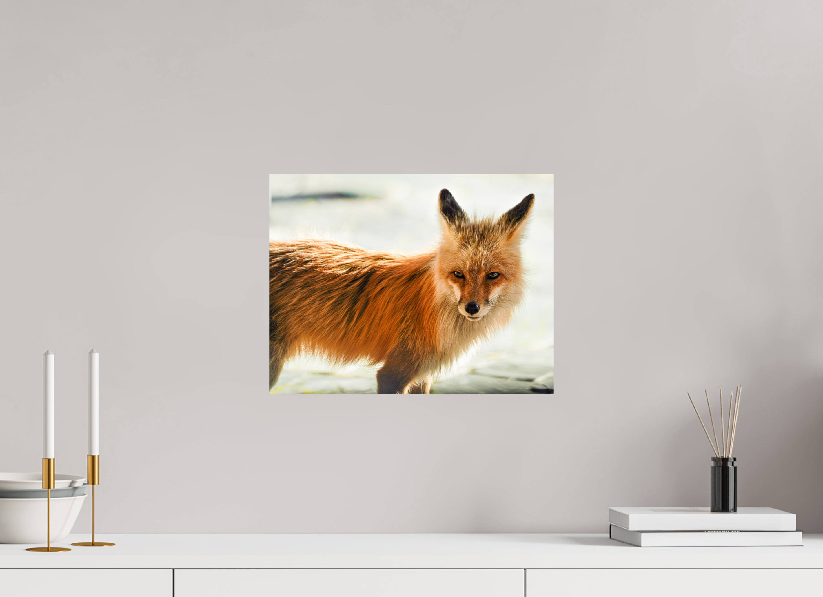 15.5 x 12″, PHOTO PAPER Fox
