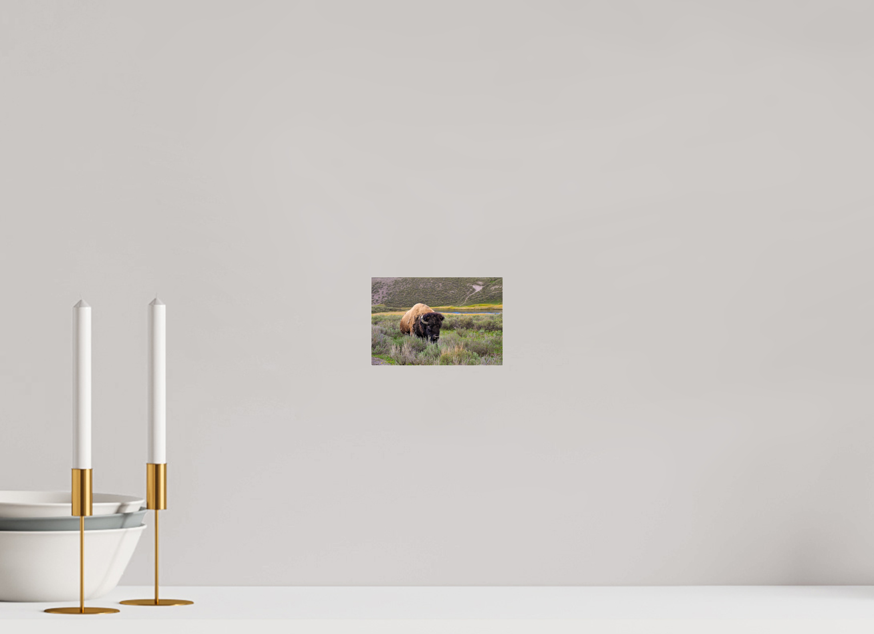 6 x 4″, ACRYLIC Bison