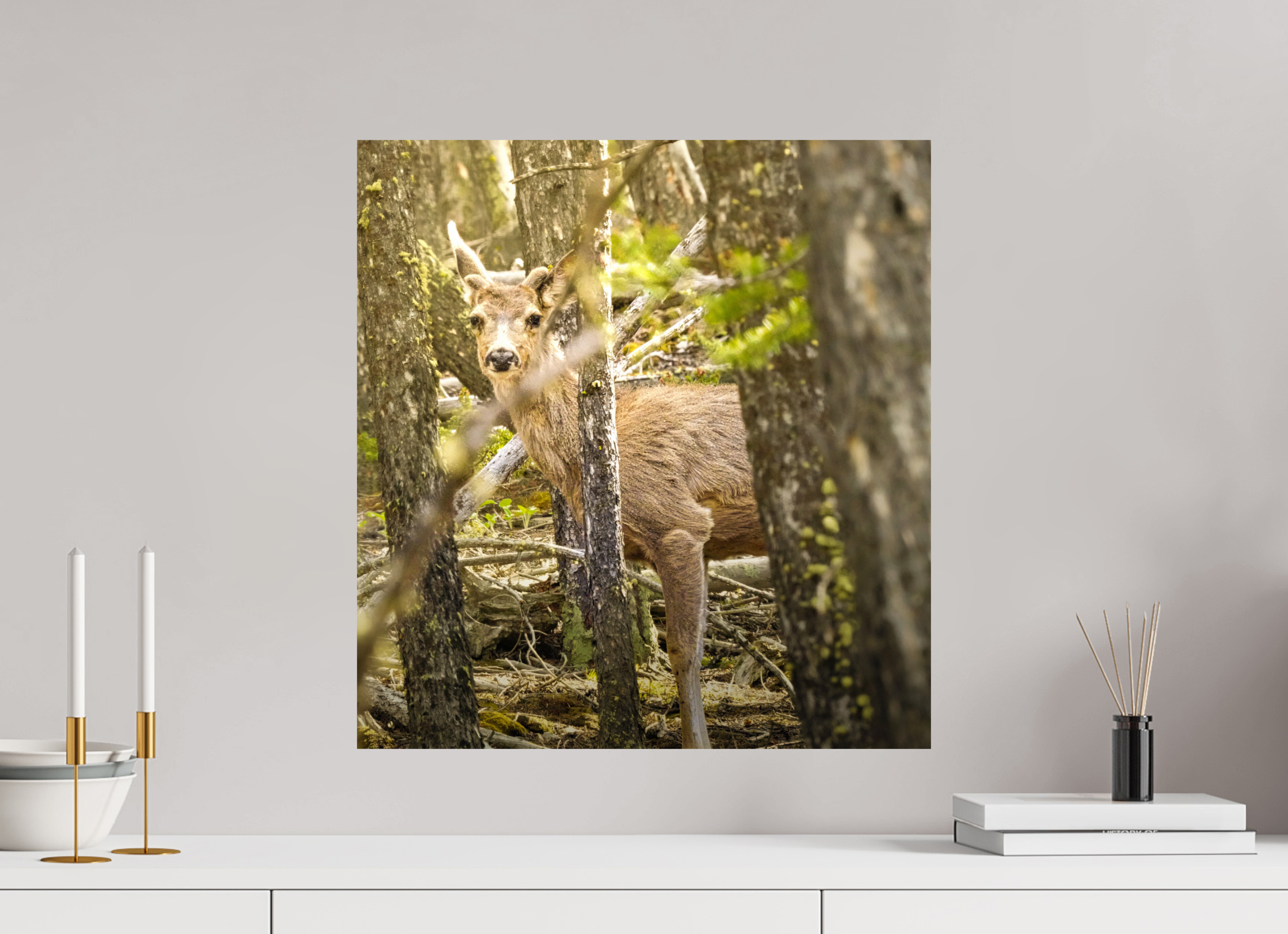 20 x 21.2″, PHOTO PAPER Deer