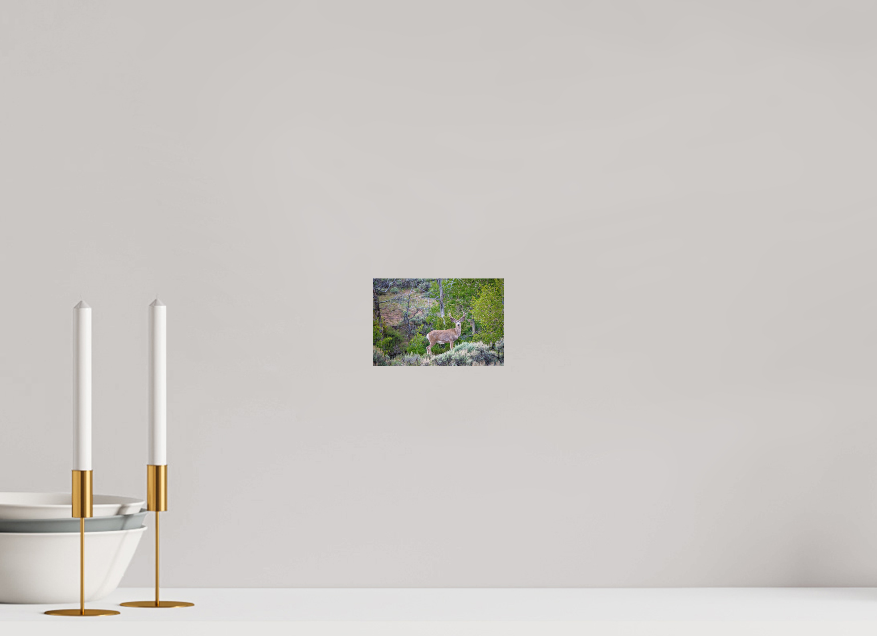 6 x 4″, PHOTO PAPER Deer