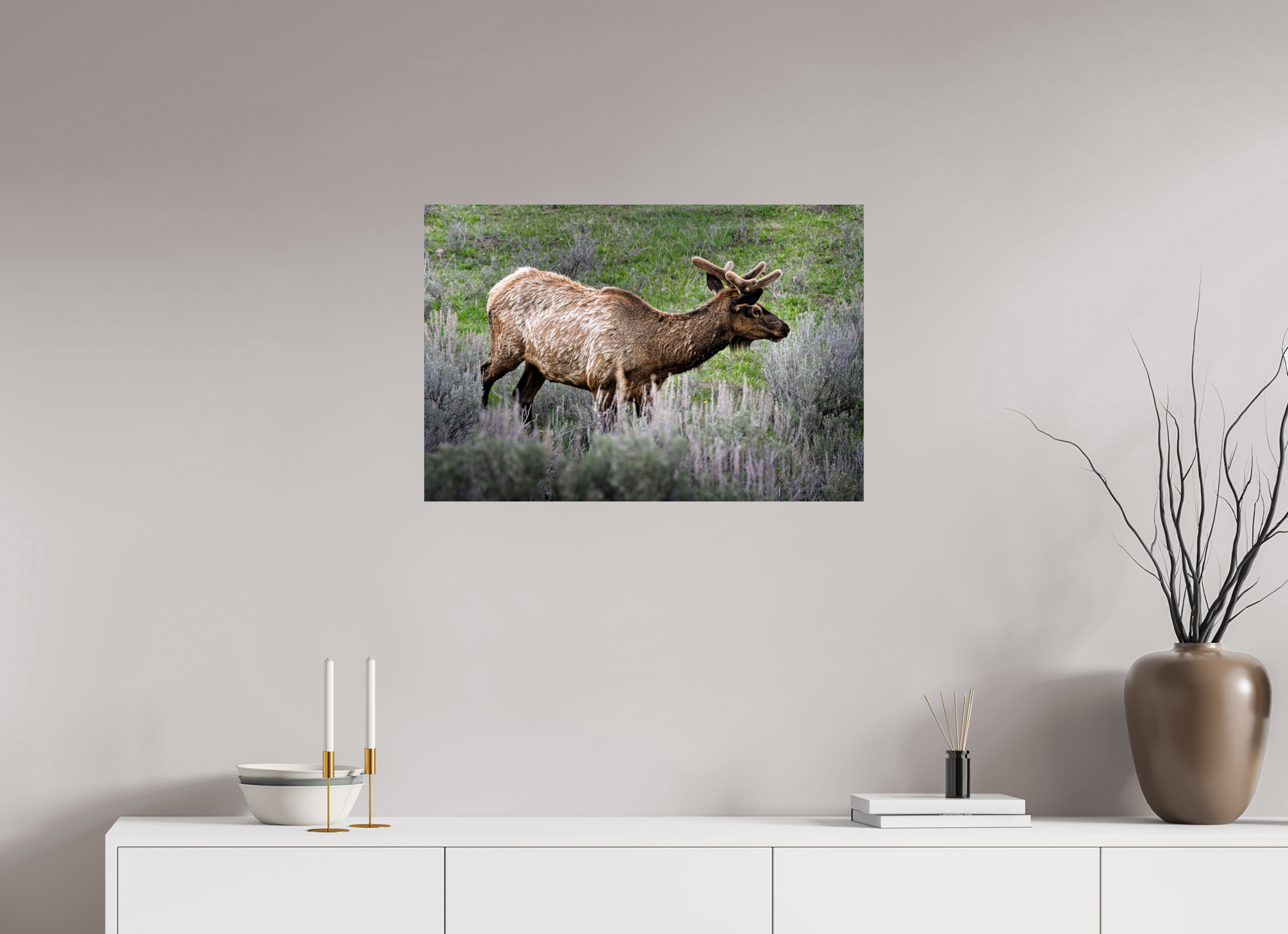 29.6 x 20″, METAL Elk