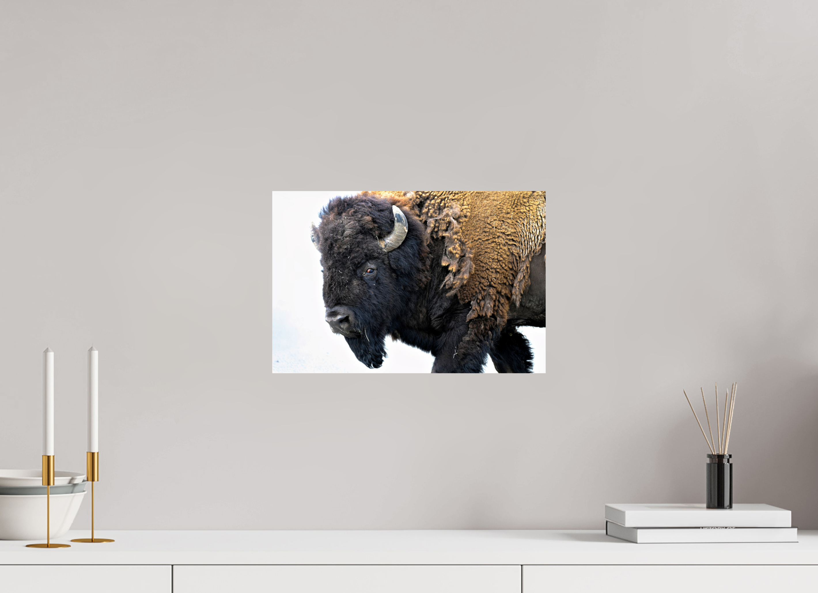 15 x 10″, PHOTO PAPER Bison Side eye