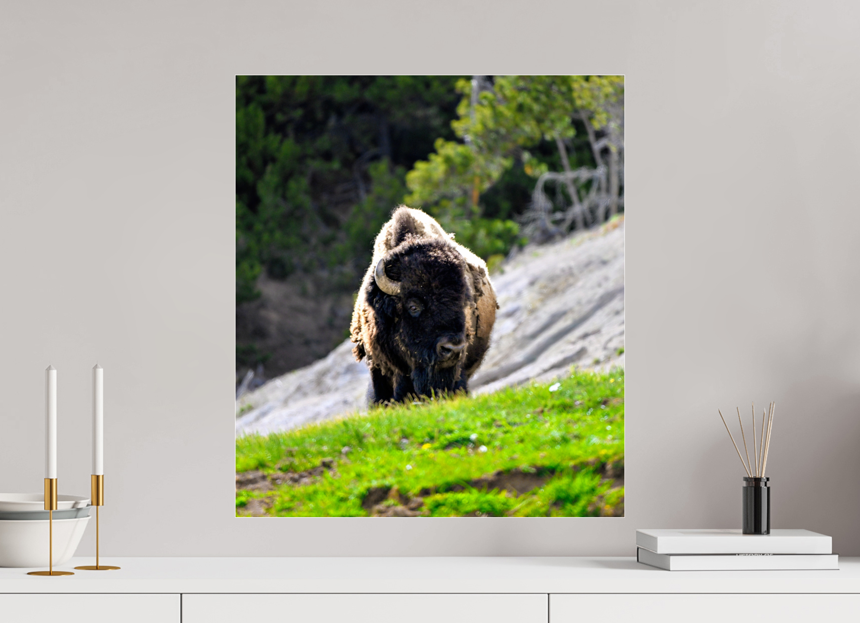 20 x 22.8″, ACRYLIC Bison Portrait