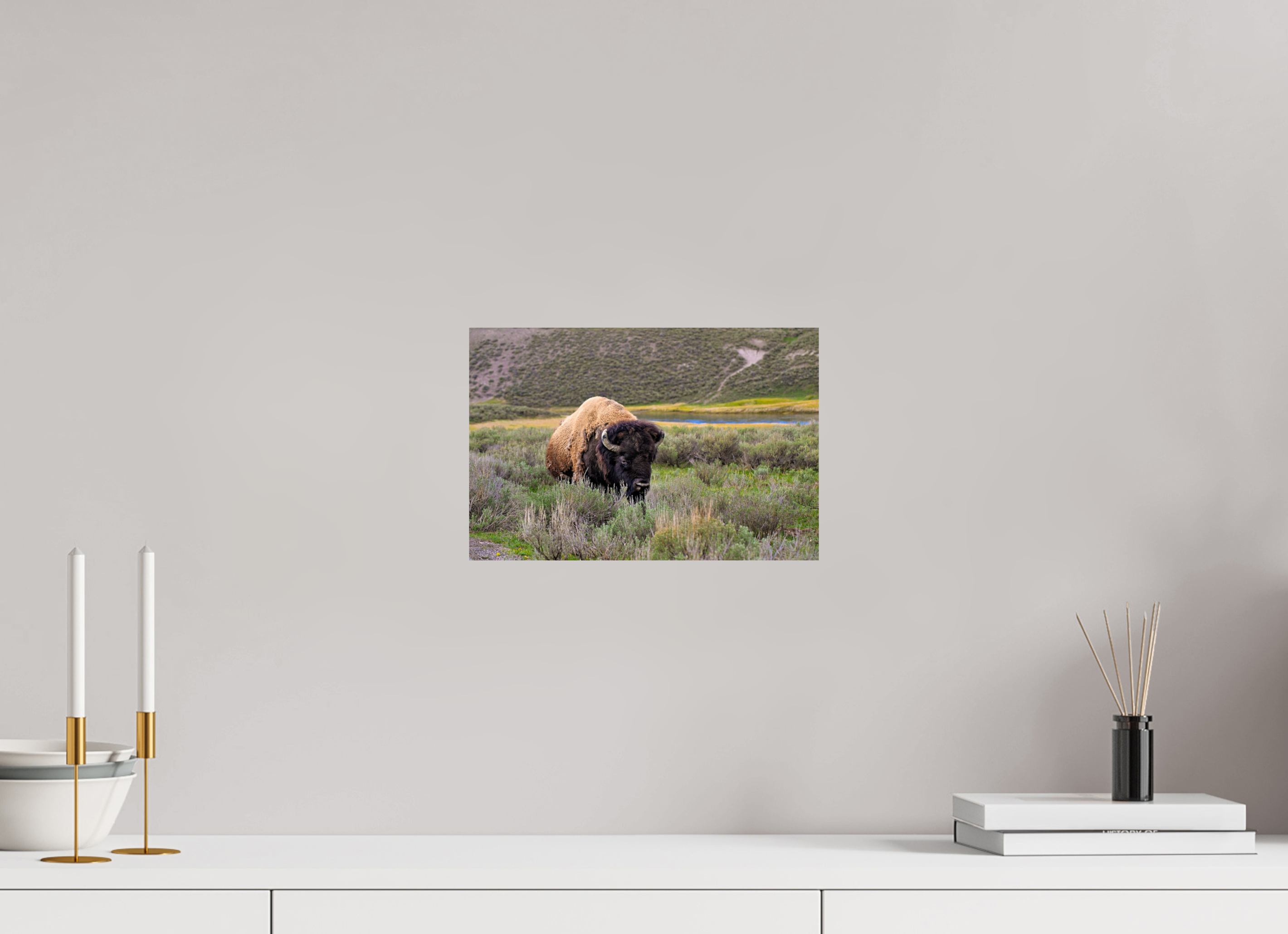 12 x 8″, METAL Bison