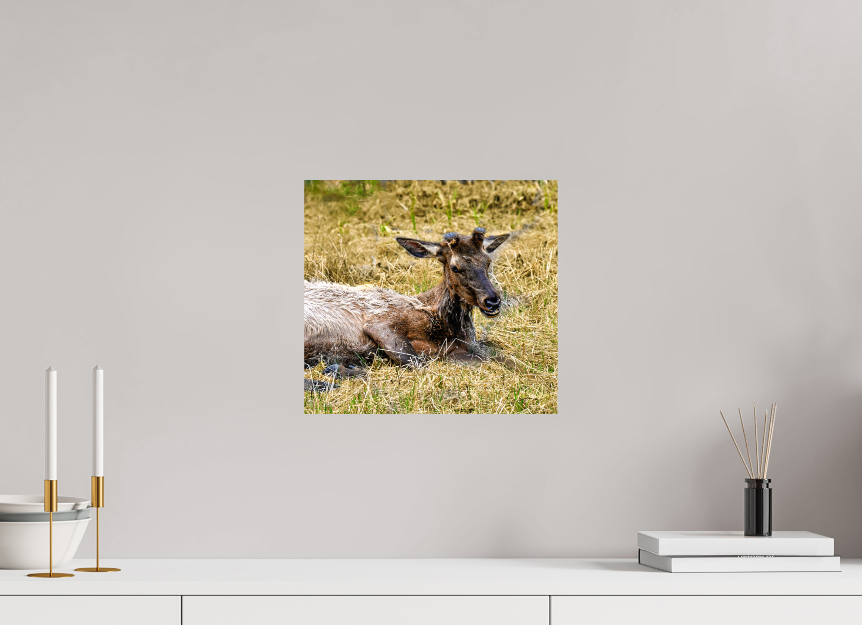 13 x 12″, METAL Elk