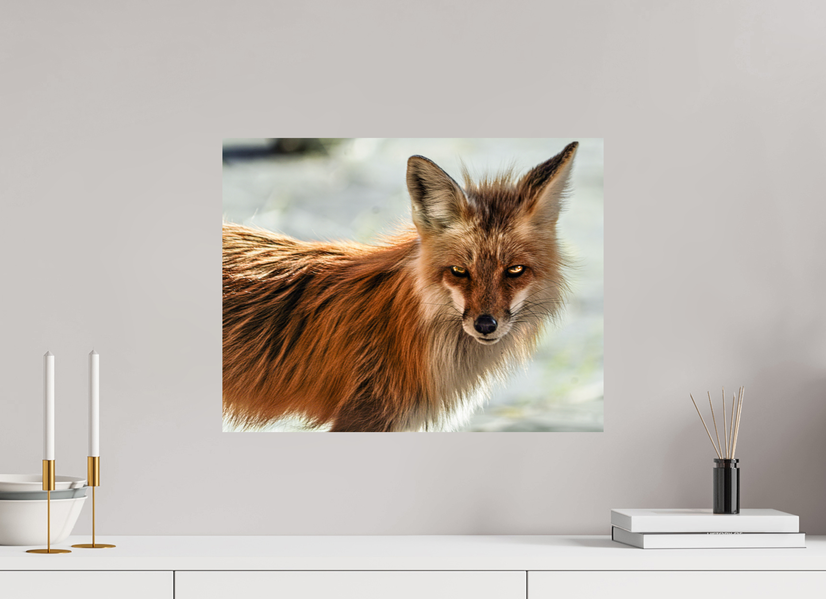 20.7 x 16″, PHOTO PAPER Haunting Fox