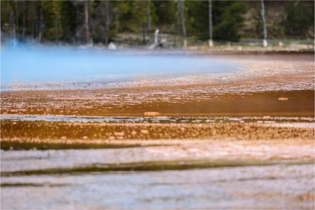Main image Yellowstone