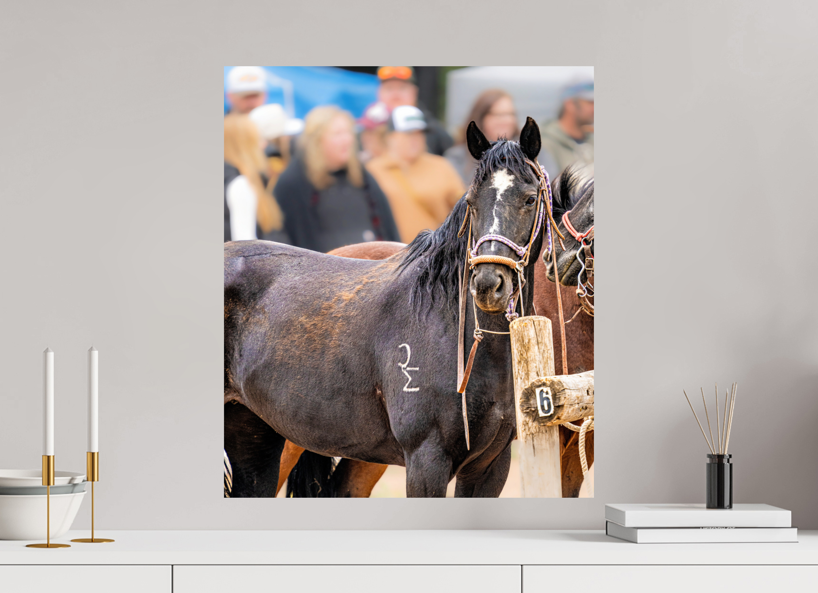 20 x 23.3″, METAL Pack Horse Portrait 16 Web Exclusive