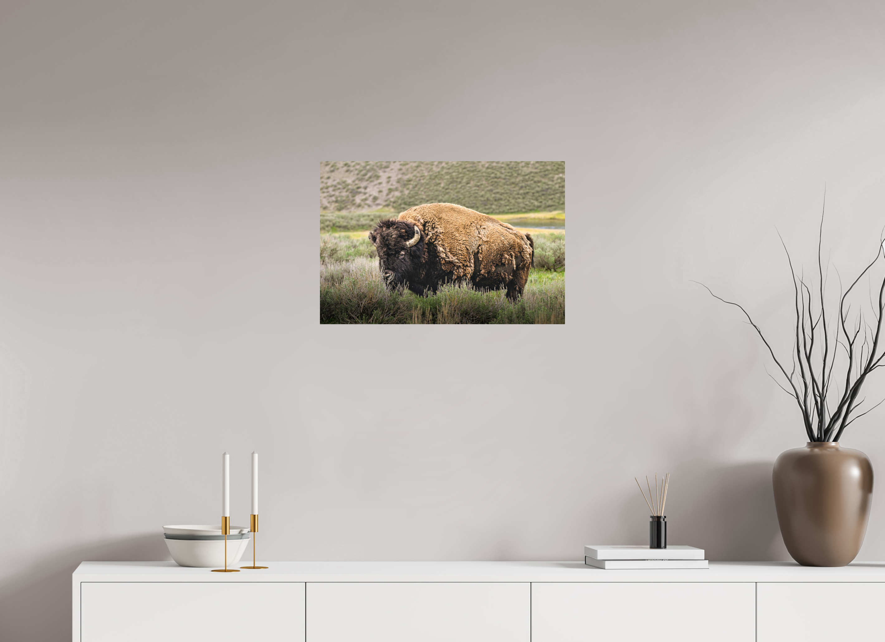 24 x 16″, METAL Bison