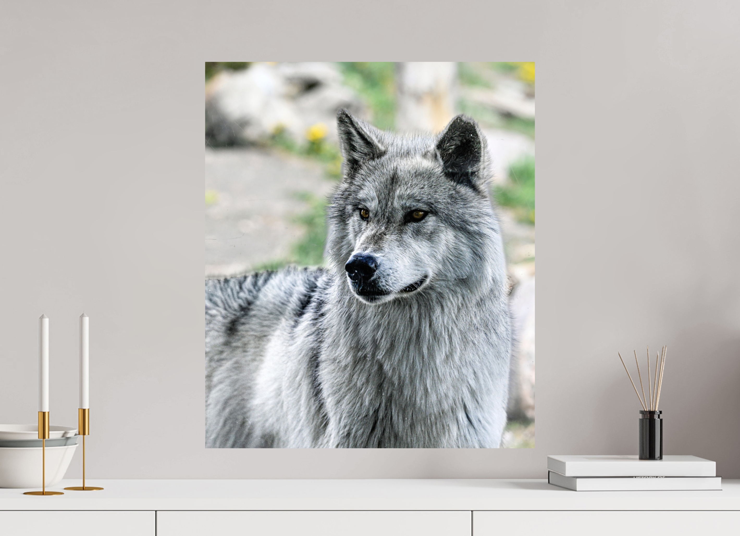 20 x 23.5″, PHOTO PAPER Wolf Portrait