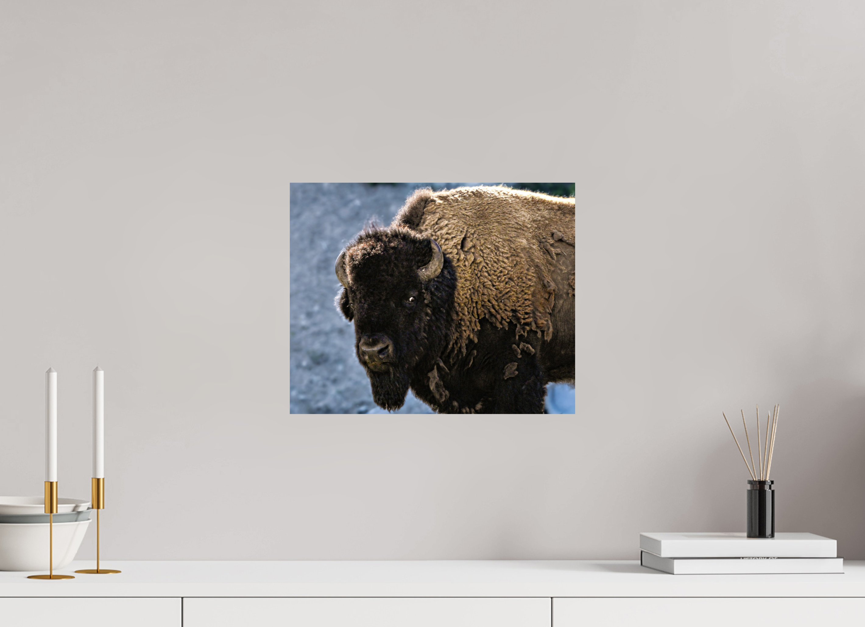 14.8 x 12″, PHOTO PAPER Bison