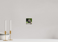 4 x 4″, PHOTO PAPER Bear