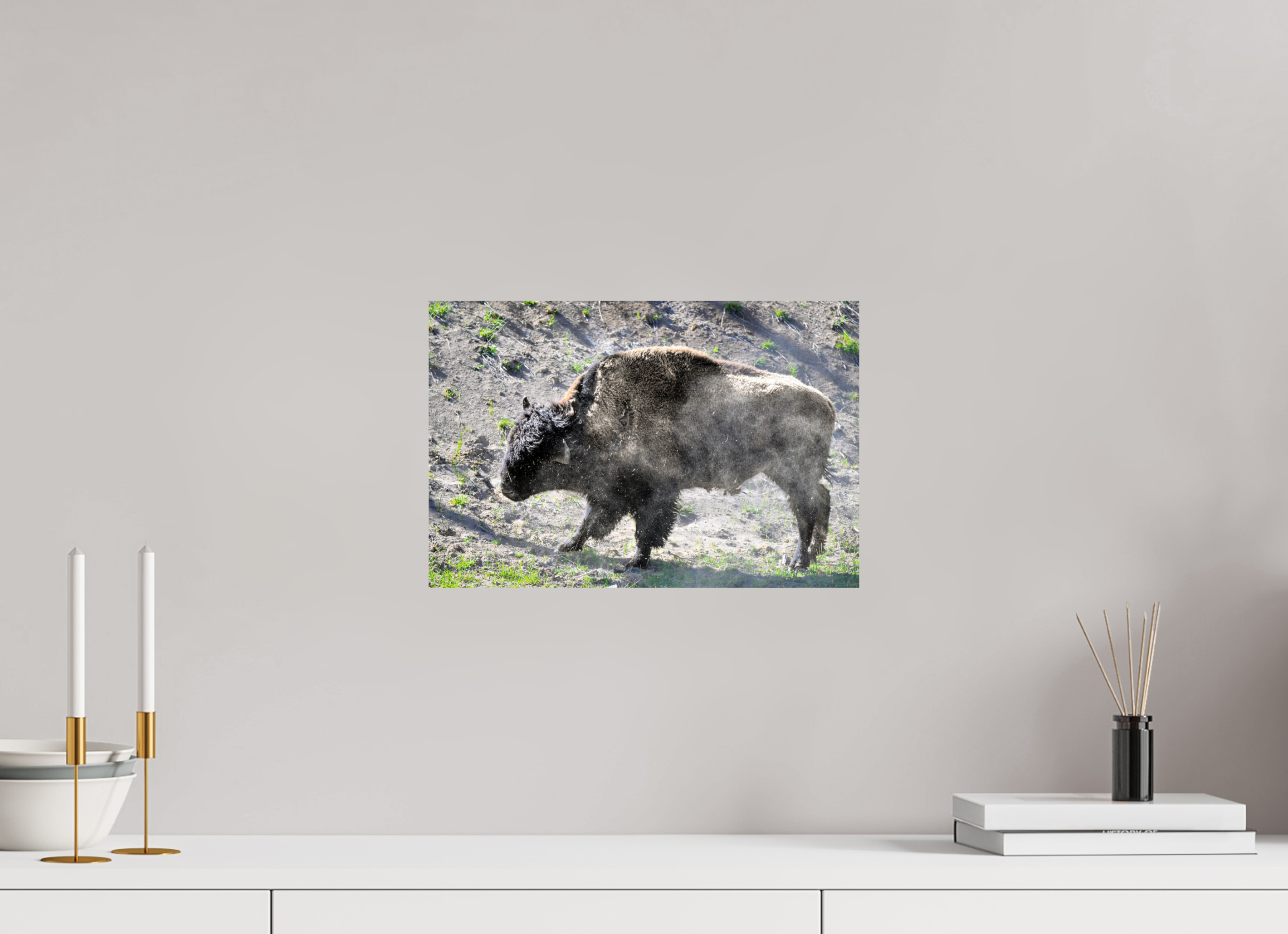 15 x 10″, PHOTO PAPER Bison Shake