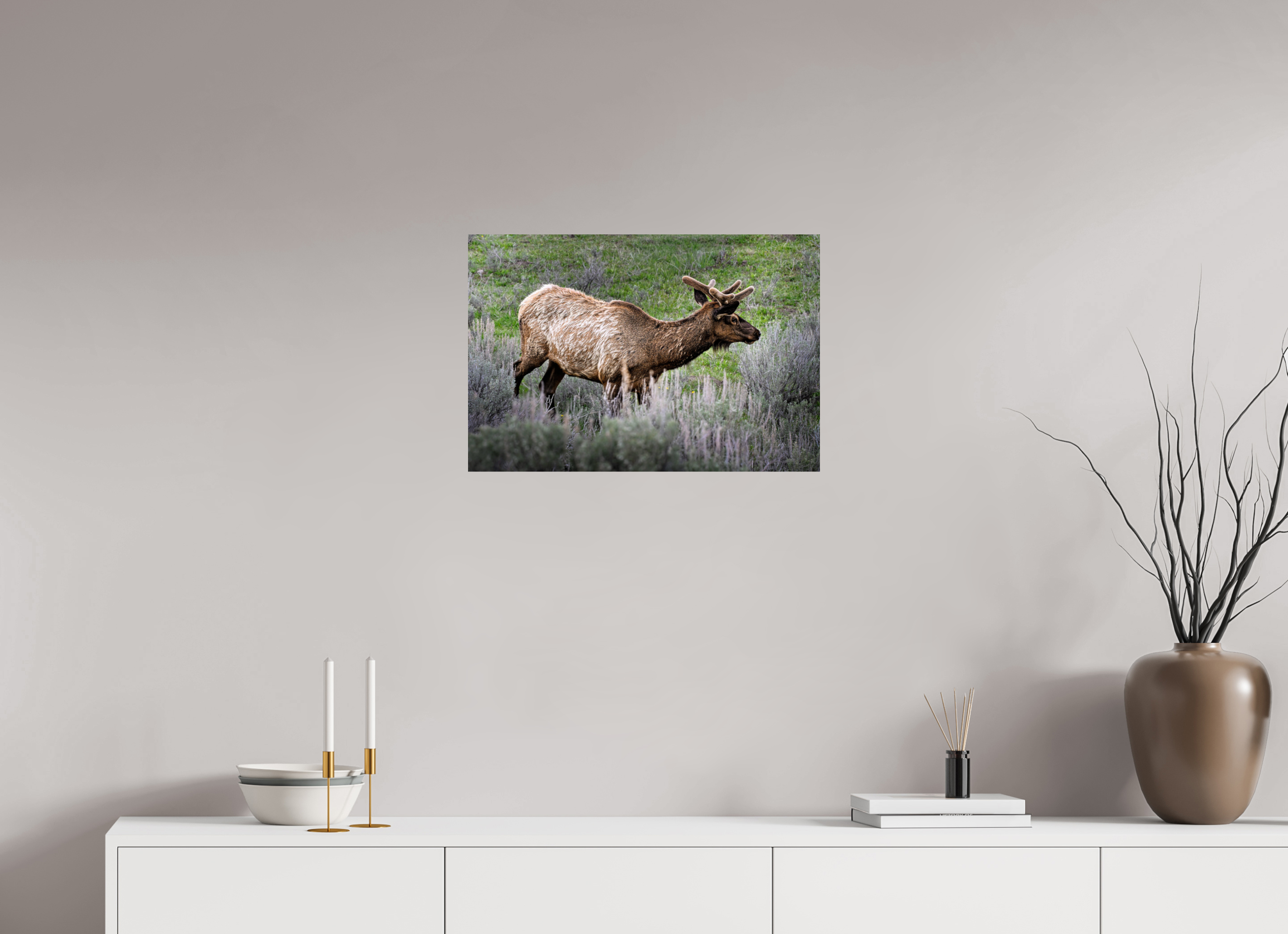 23.7 x 16″, METAL Elk