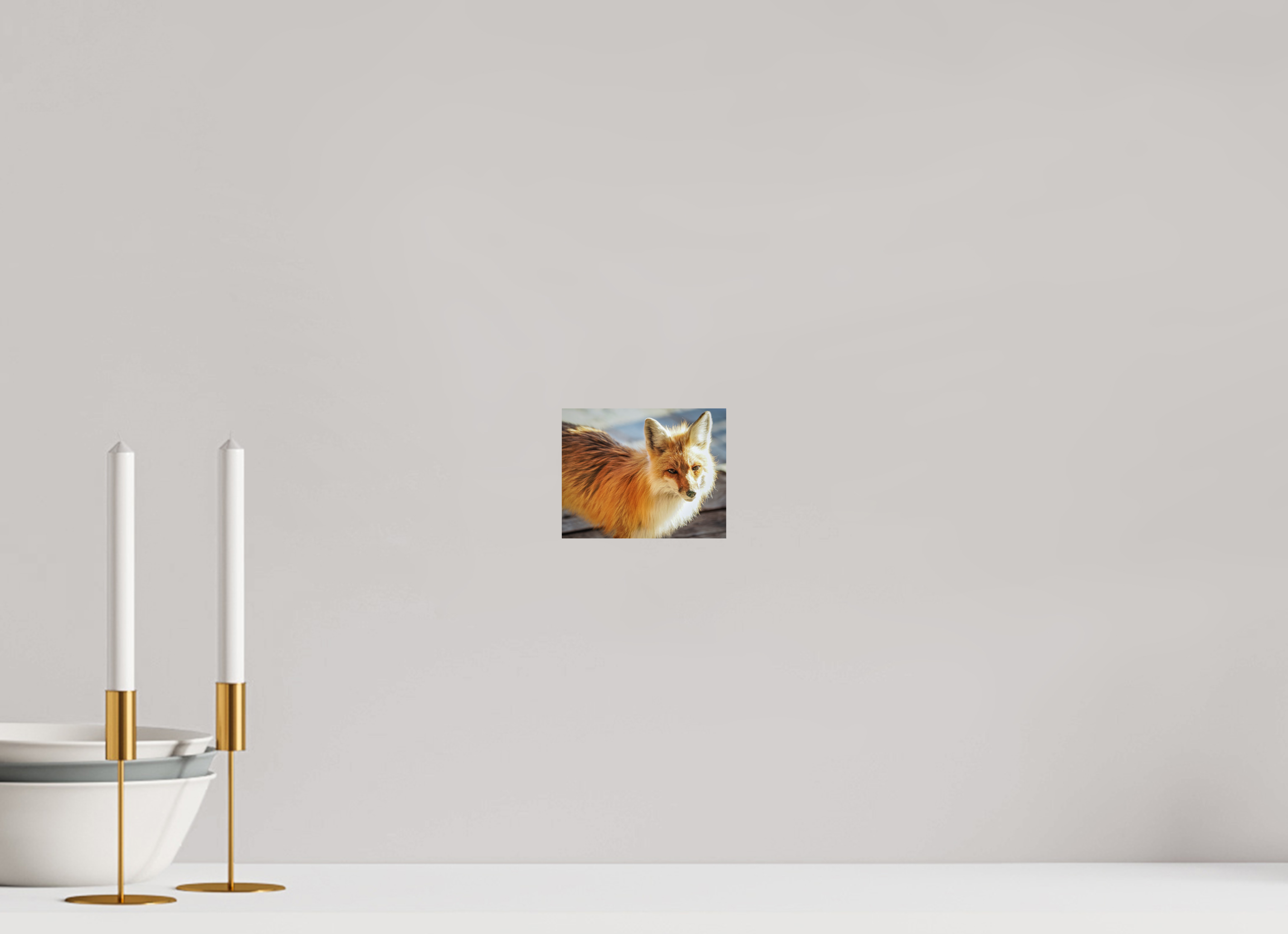 5.1 x 4″, METAL Fox