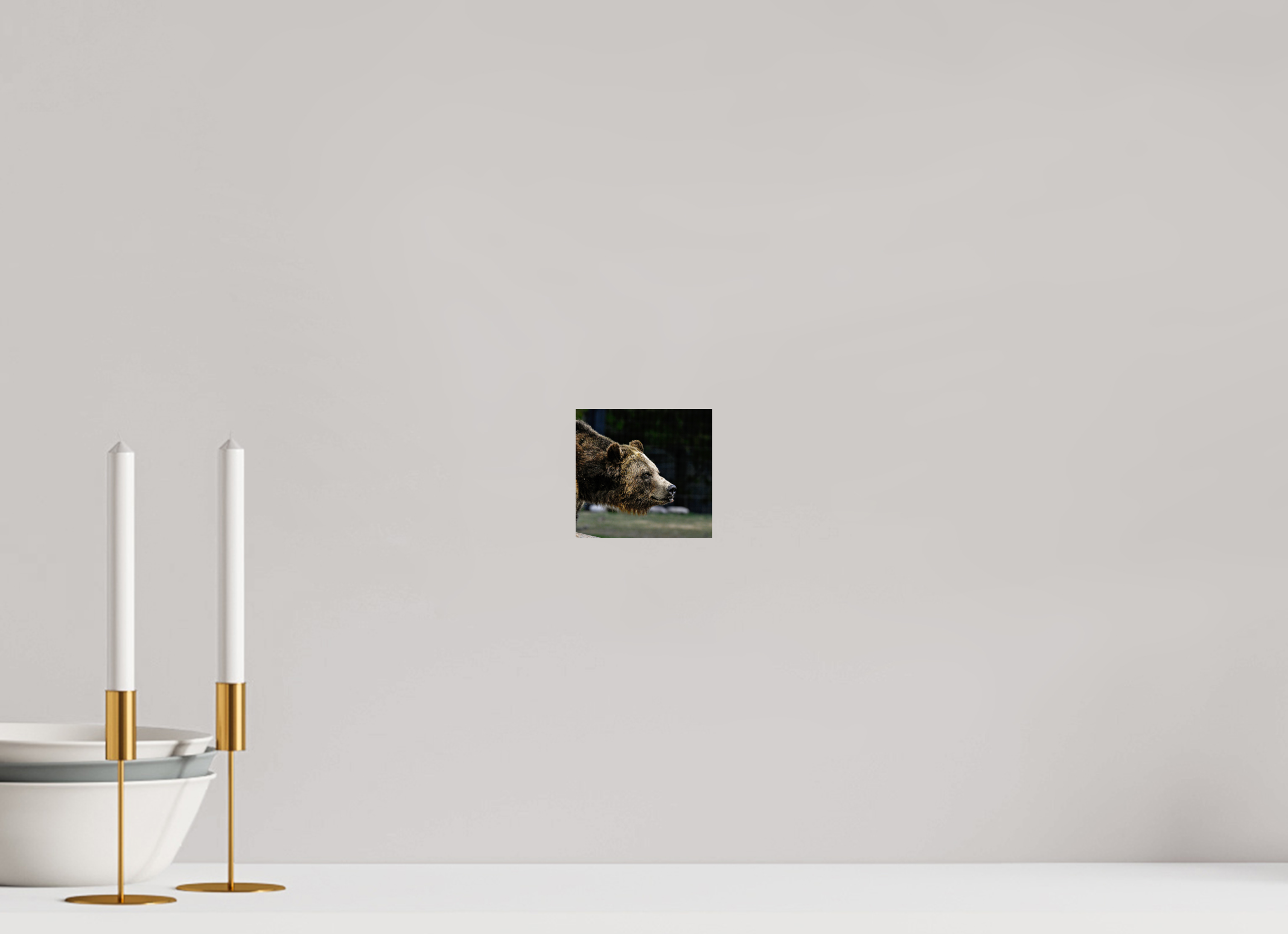 4.3 x 4″, PHOTO PAPER Bear Close Up