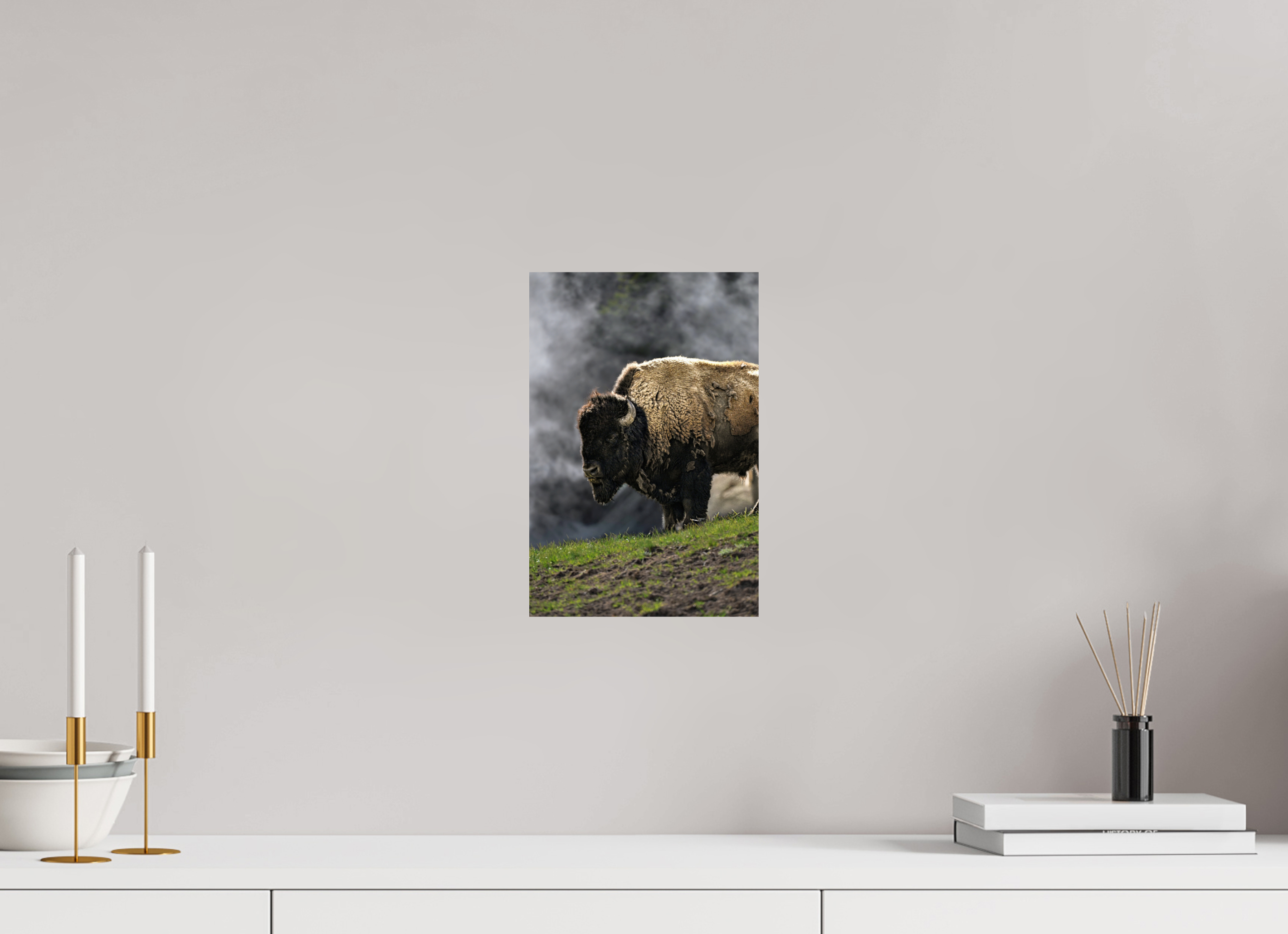 8 x 12″, PHOTO PAPER Bison