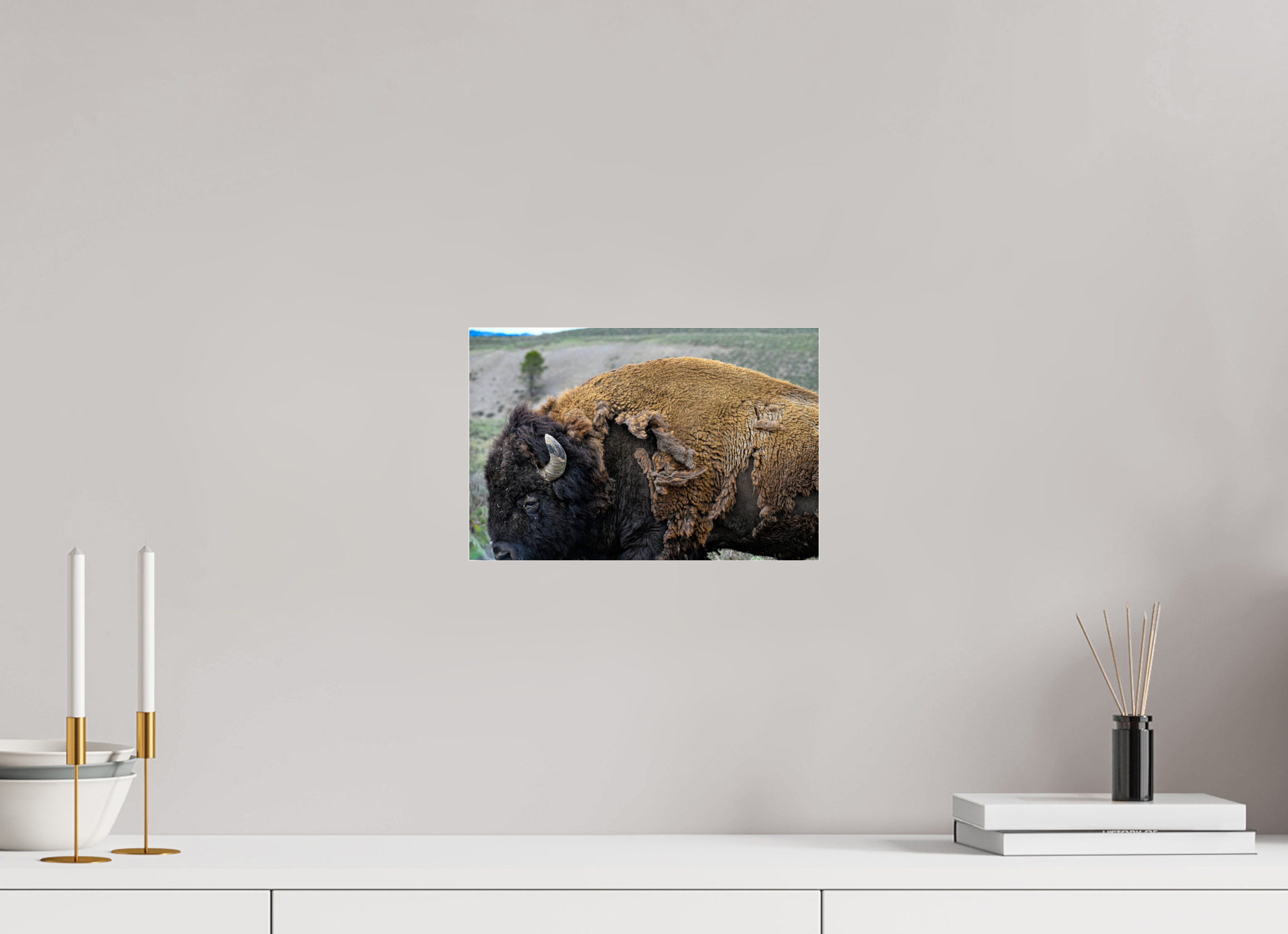 12 x 8″, ACRYLIC Bison side profile