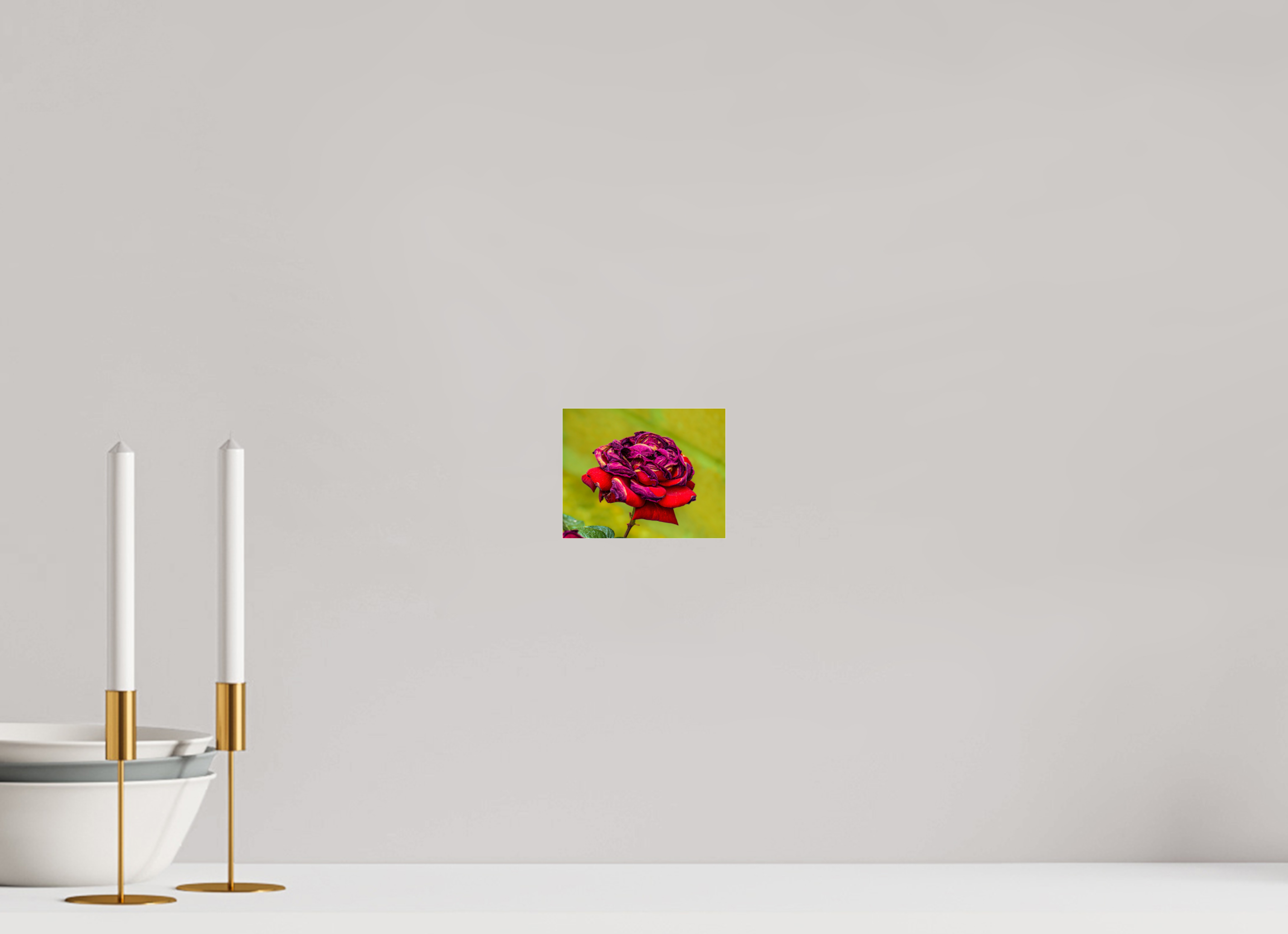 5 x 4″, ACRYLIC Red Rose