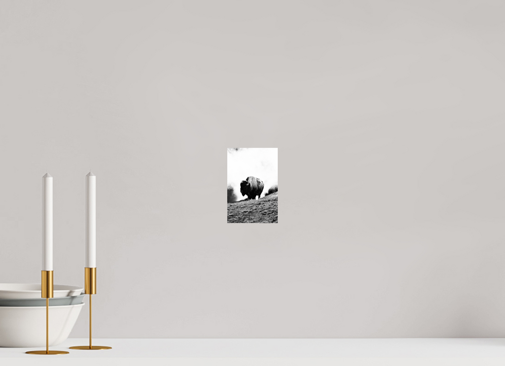 4 x 6″, PHOTO PAPER Monochrome Bison