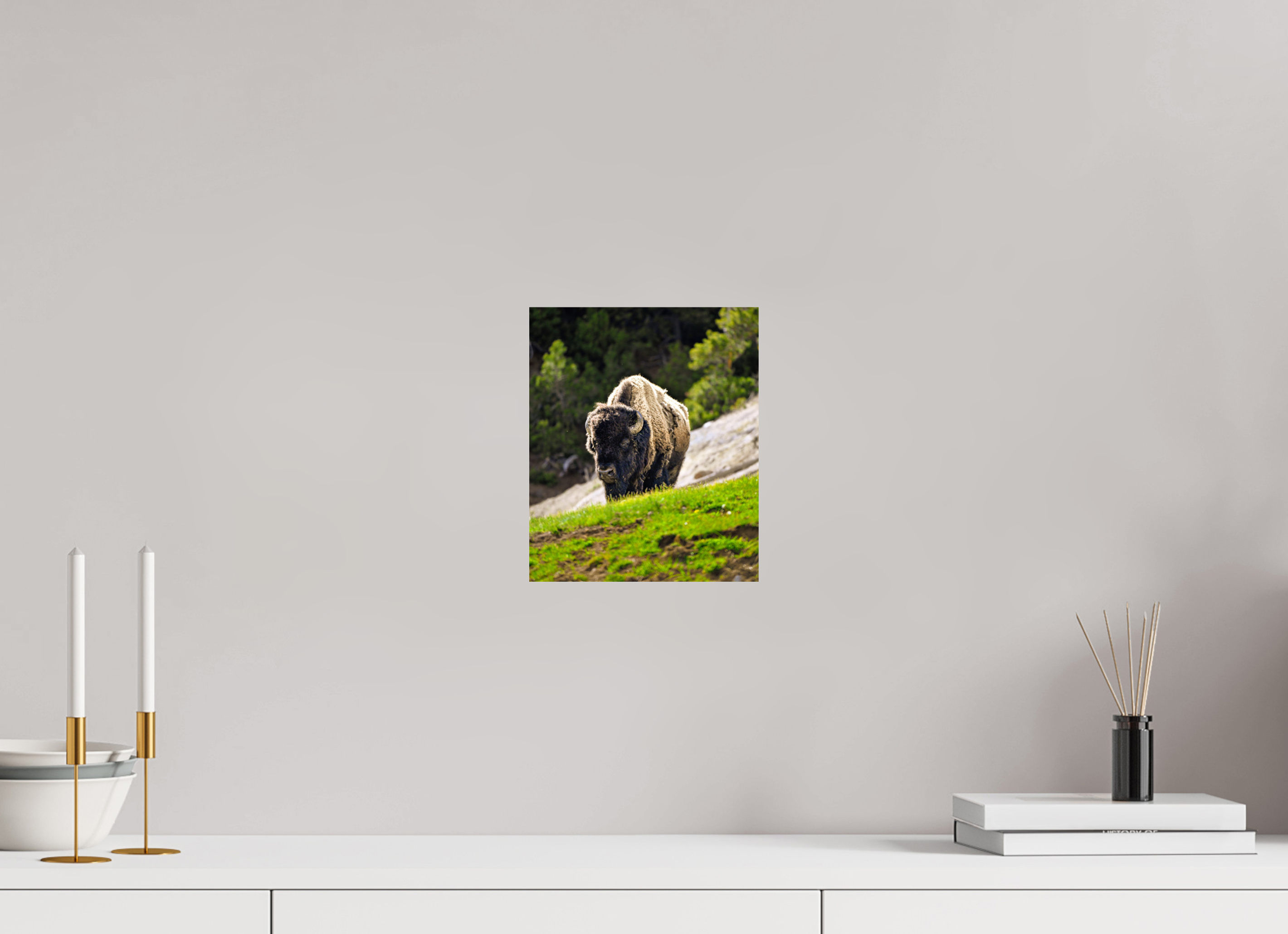8 x 9.6″, PHOTO PAPER Bison Portrait