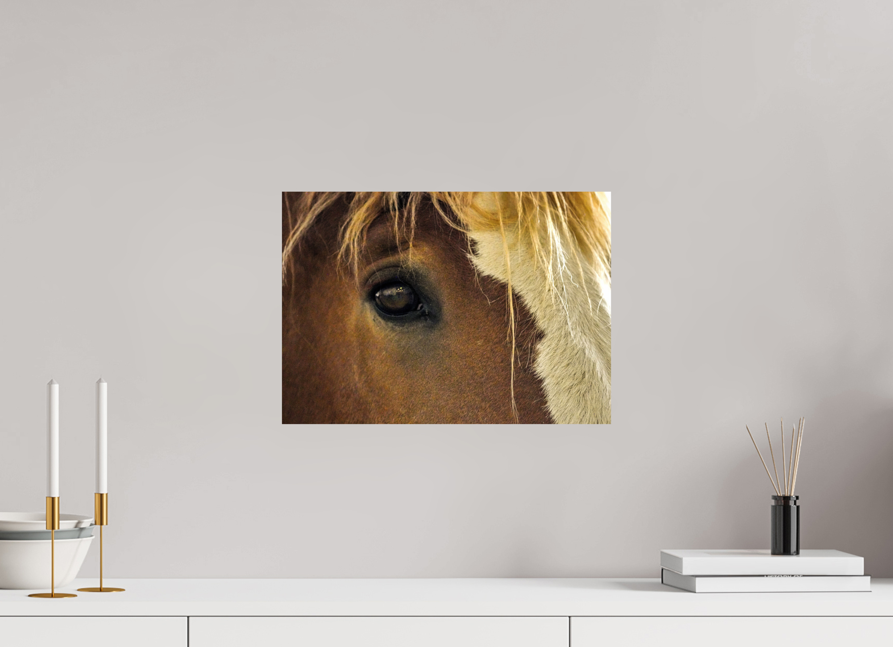 ISO A3 (42 x 29,7 cm), PHOTO PAPER Tiny Tim Eye