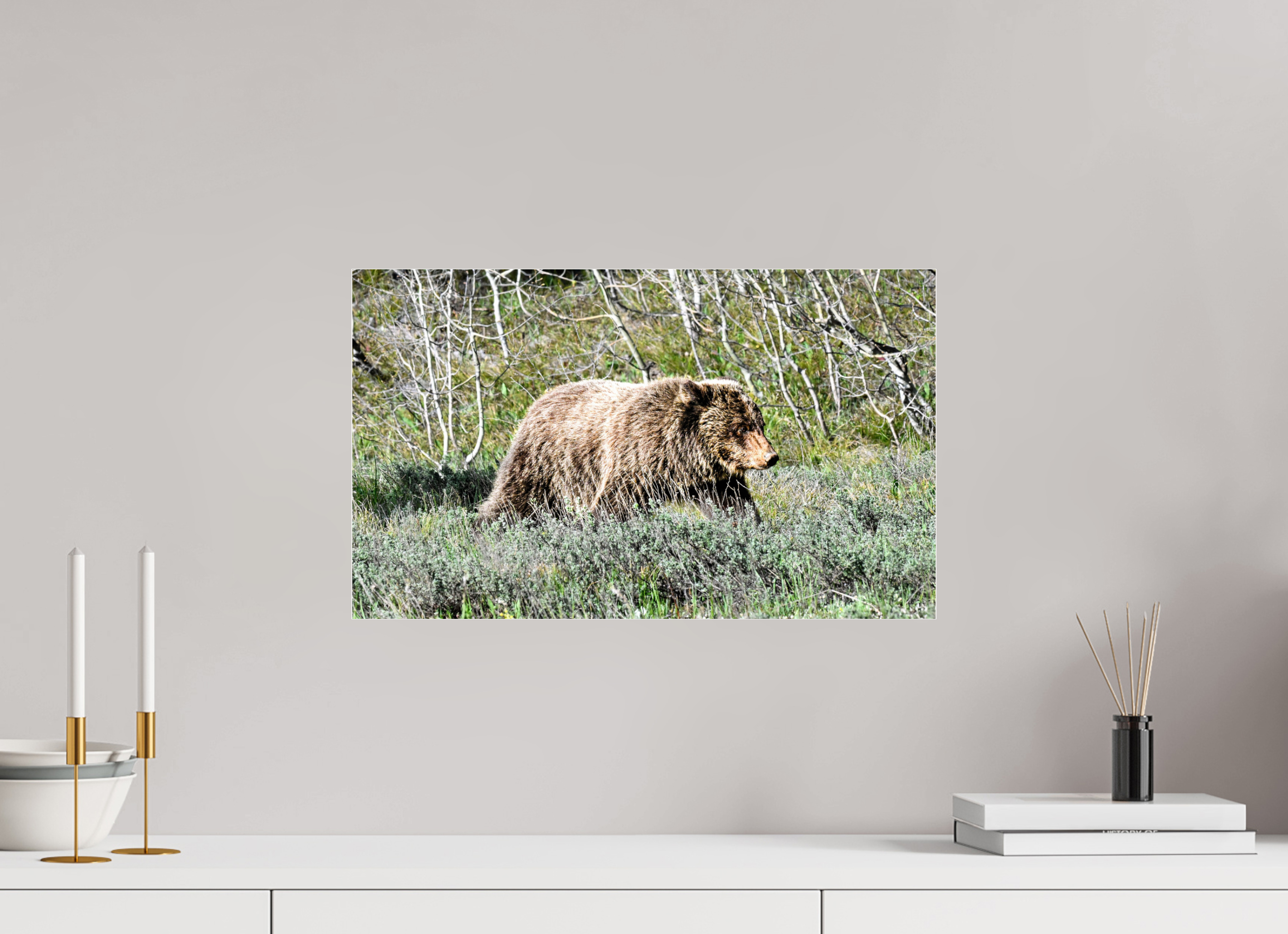 20 x 12″, ACRYLIC Bear