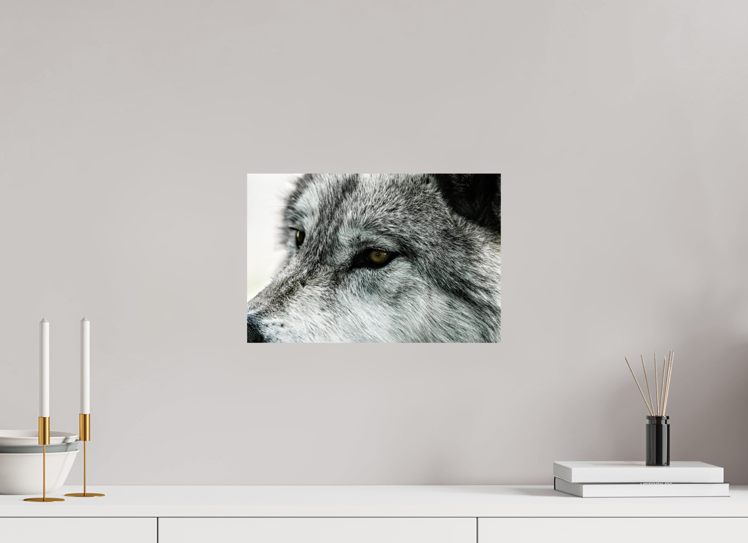 15 x 10″, METAL Wolf Close Up