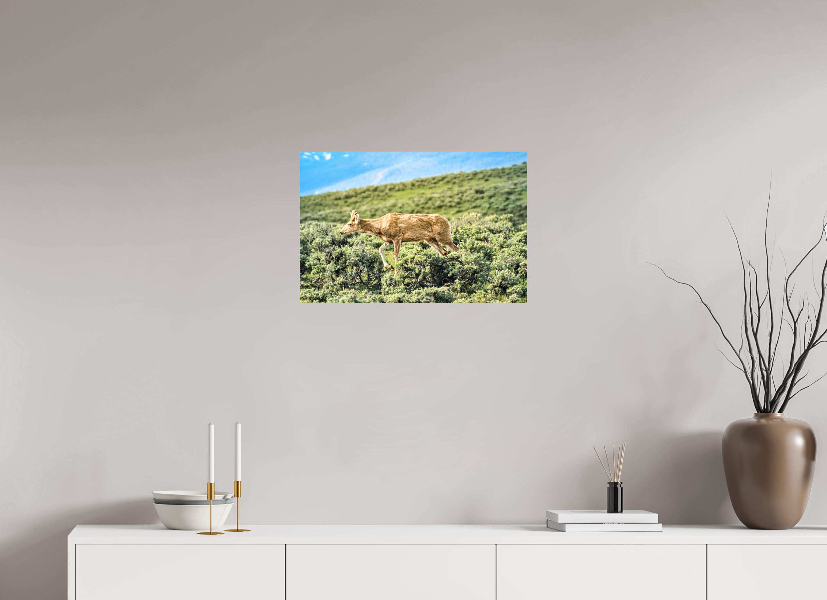 24 x 16″, PHOTO PAPER Deer