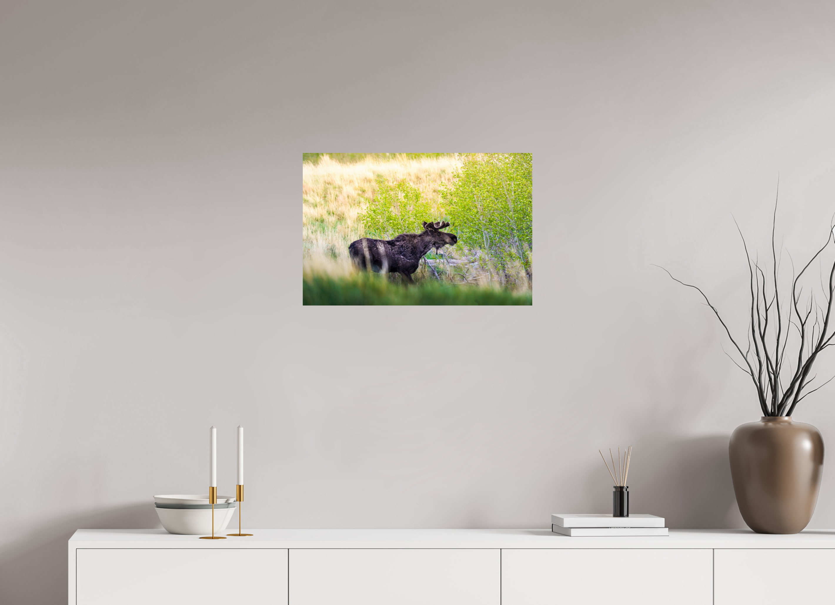 24 x 16″, PHOTO PAPER “Peek A Boo” Moose