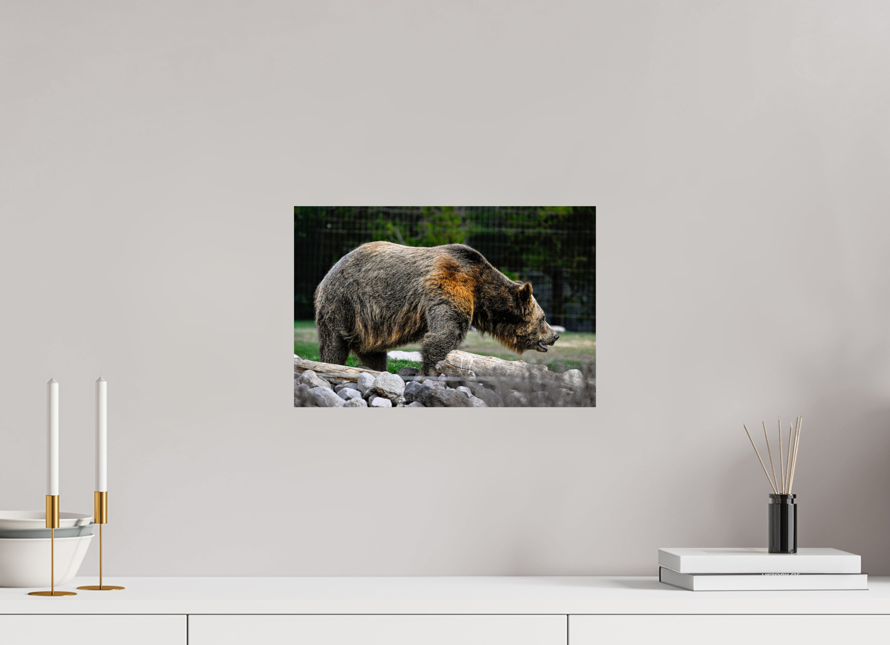 15 x 10″, METAL Bear
