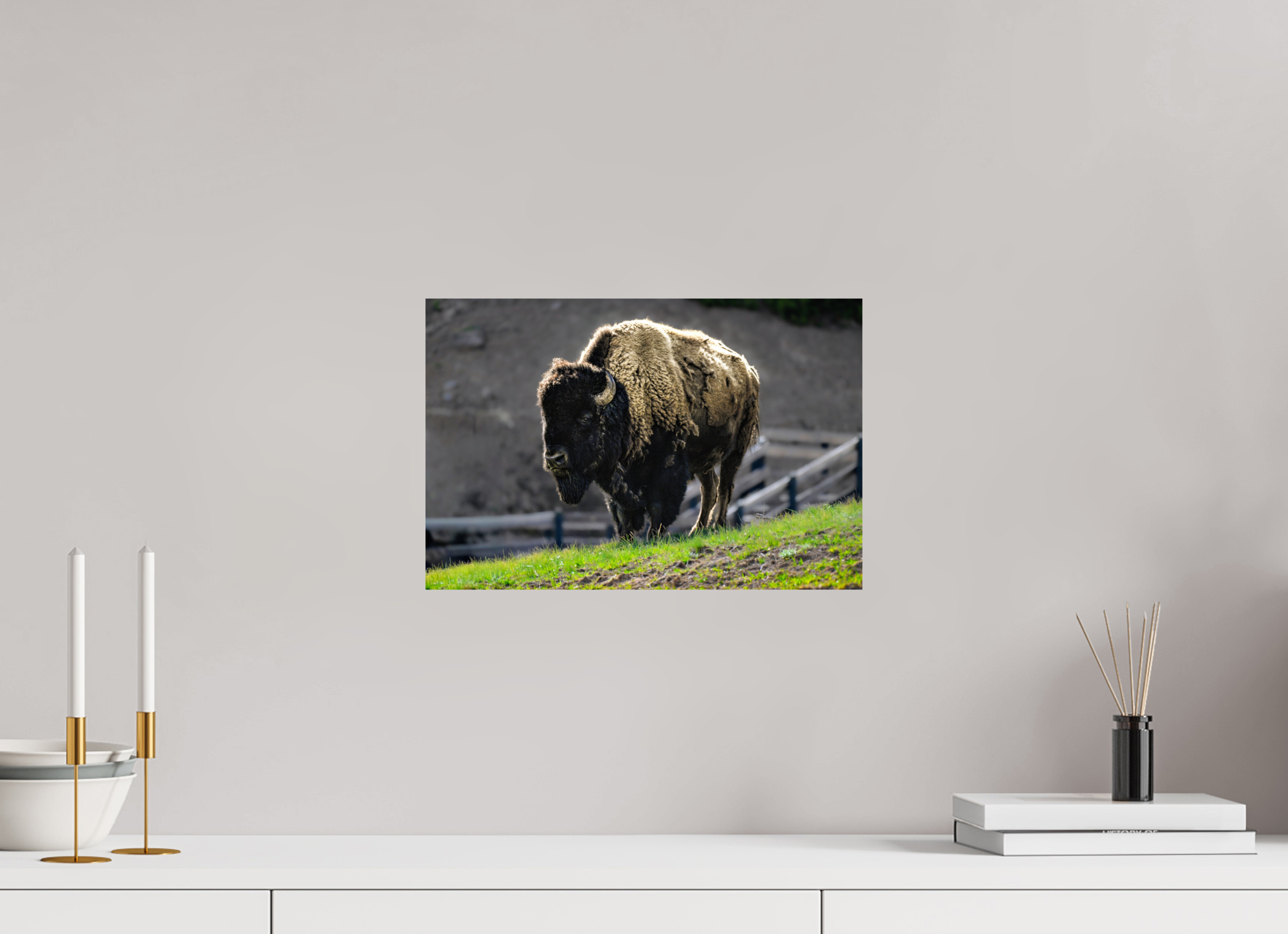 15 x 10″, METAL Bison