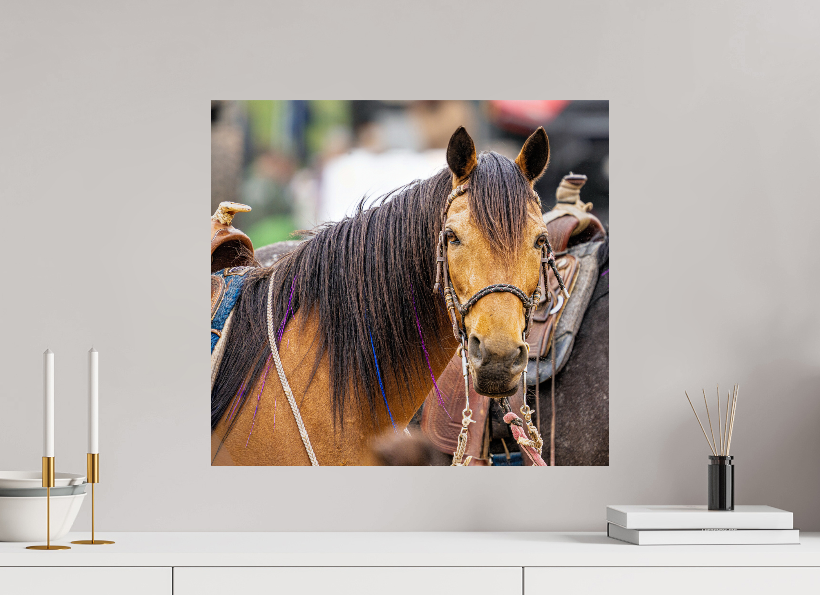 21.8 x 20″, PHOTO PAPER Pack Horse Portrait 11 Web Exclusive