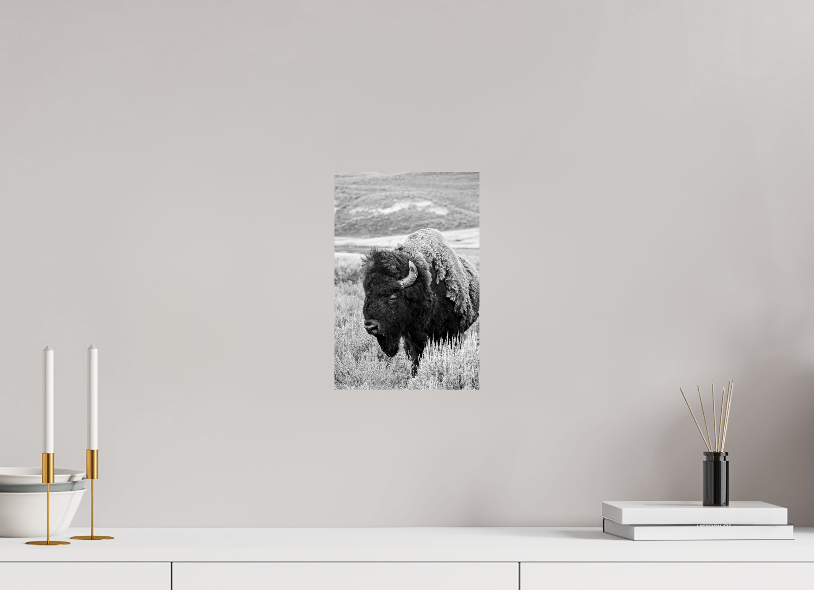 8 x 12″, PHOTO PAPER Monochrome Bison