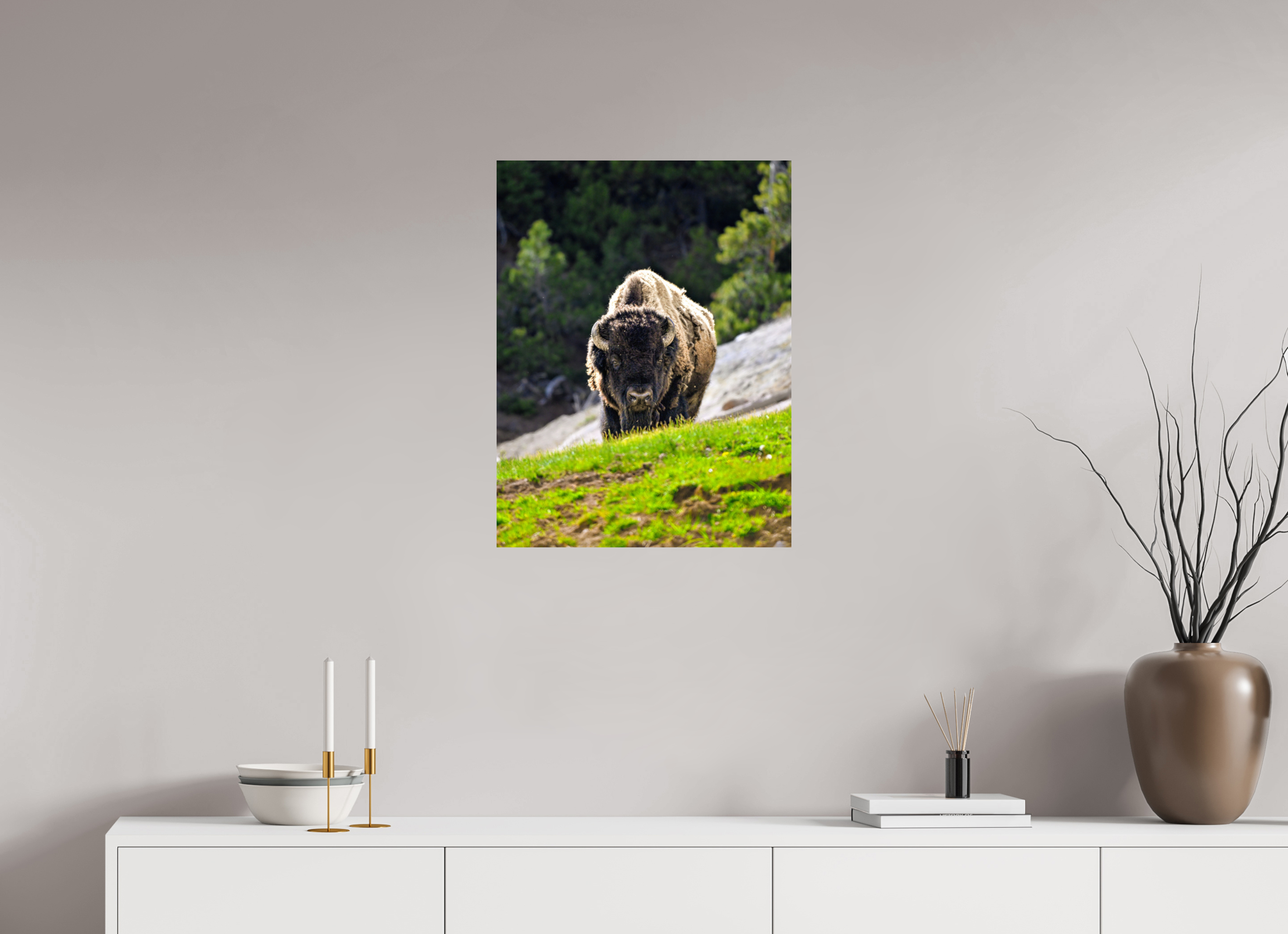 20 x 26.3″, PHOTO PAPER Bison Portrait