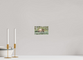 6.7 x 4″, PHOTO PAPER Bear