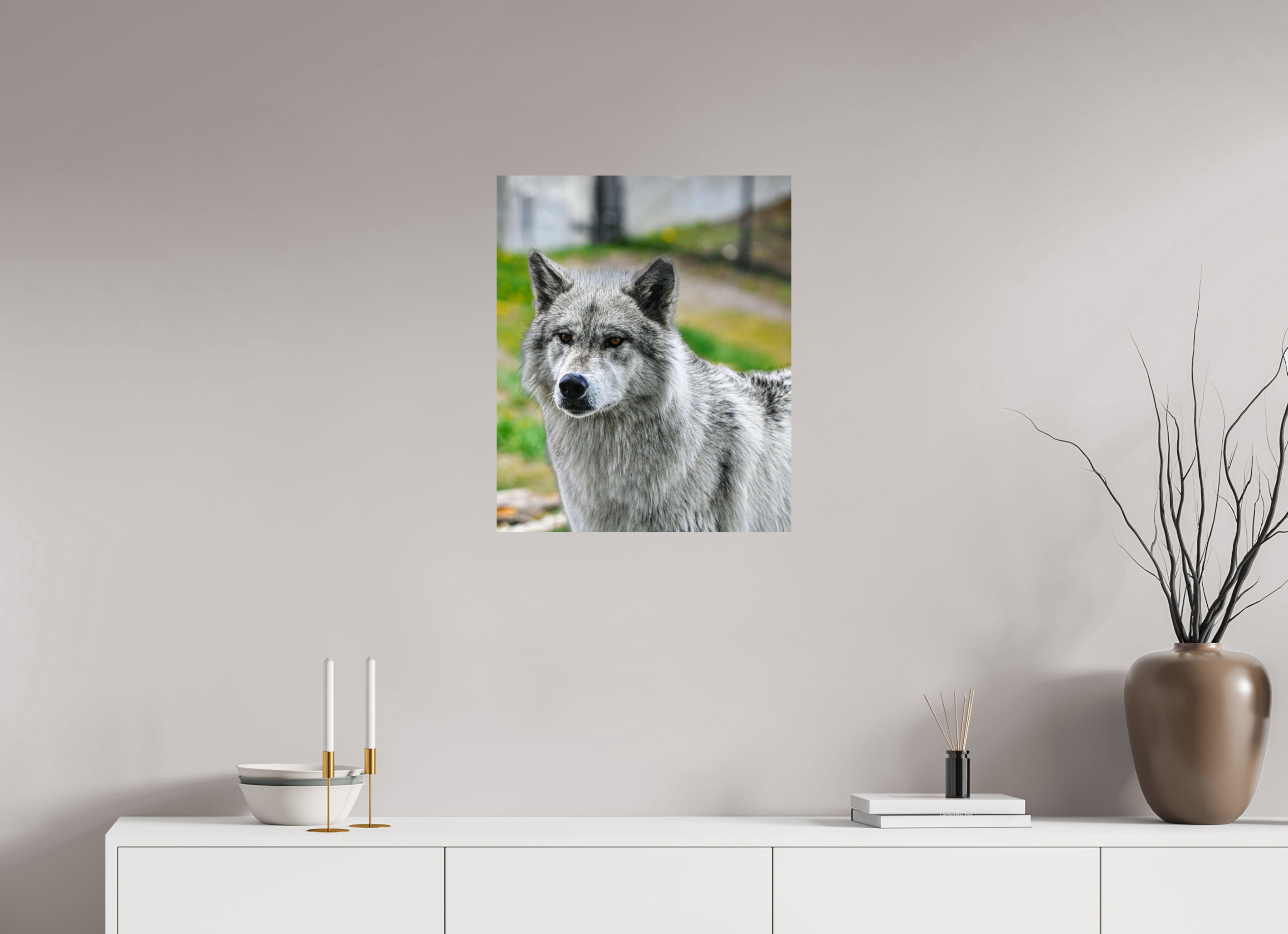 20 x 24.2″, PHOTO PAPER Wolf Portrait