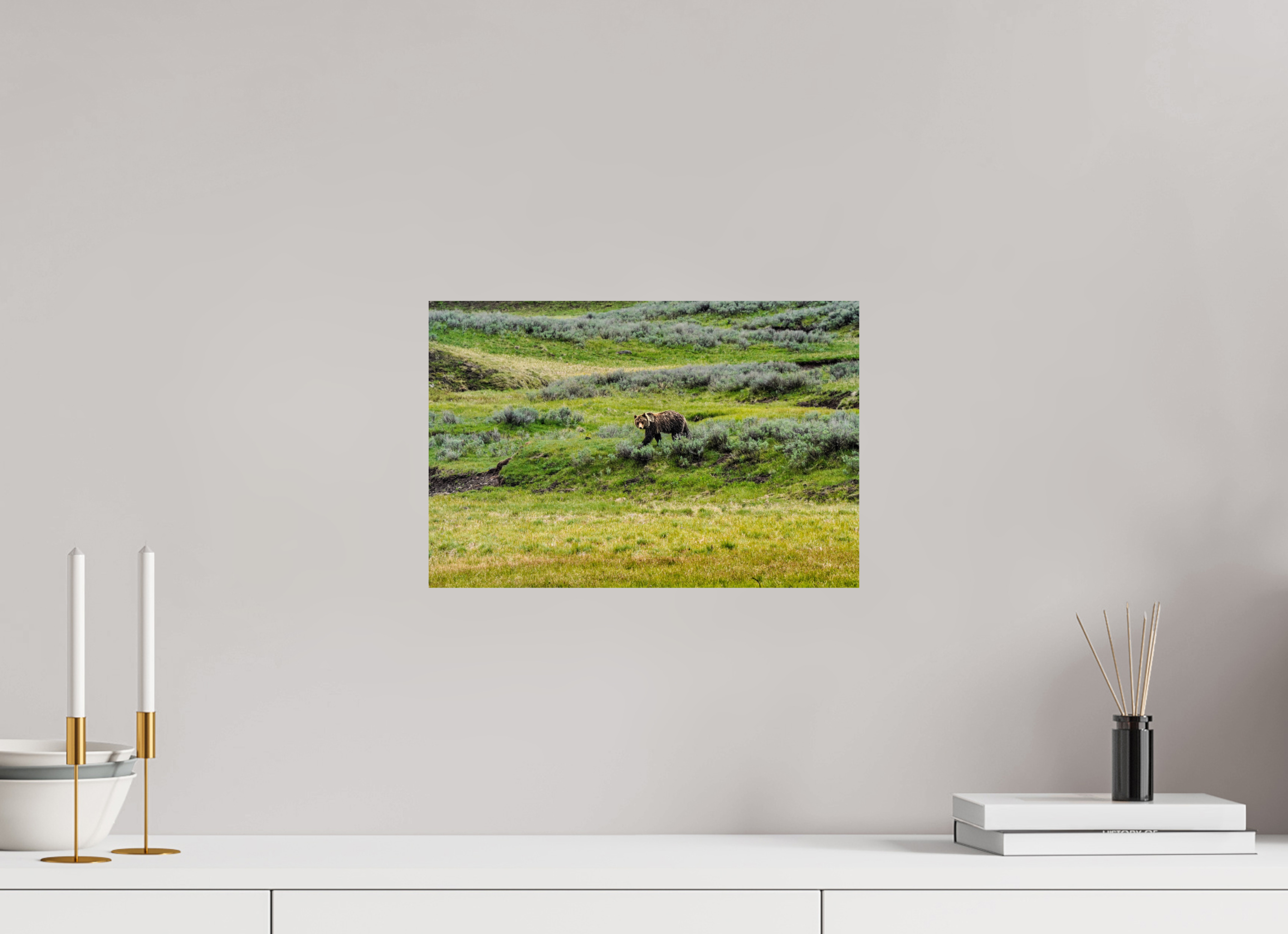 15 x 10″, PHOTO PAPER Bear