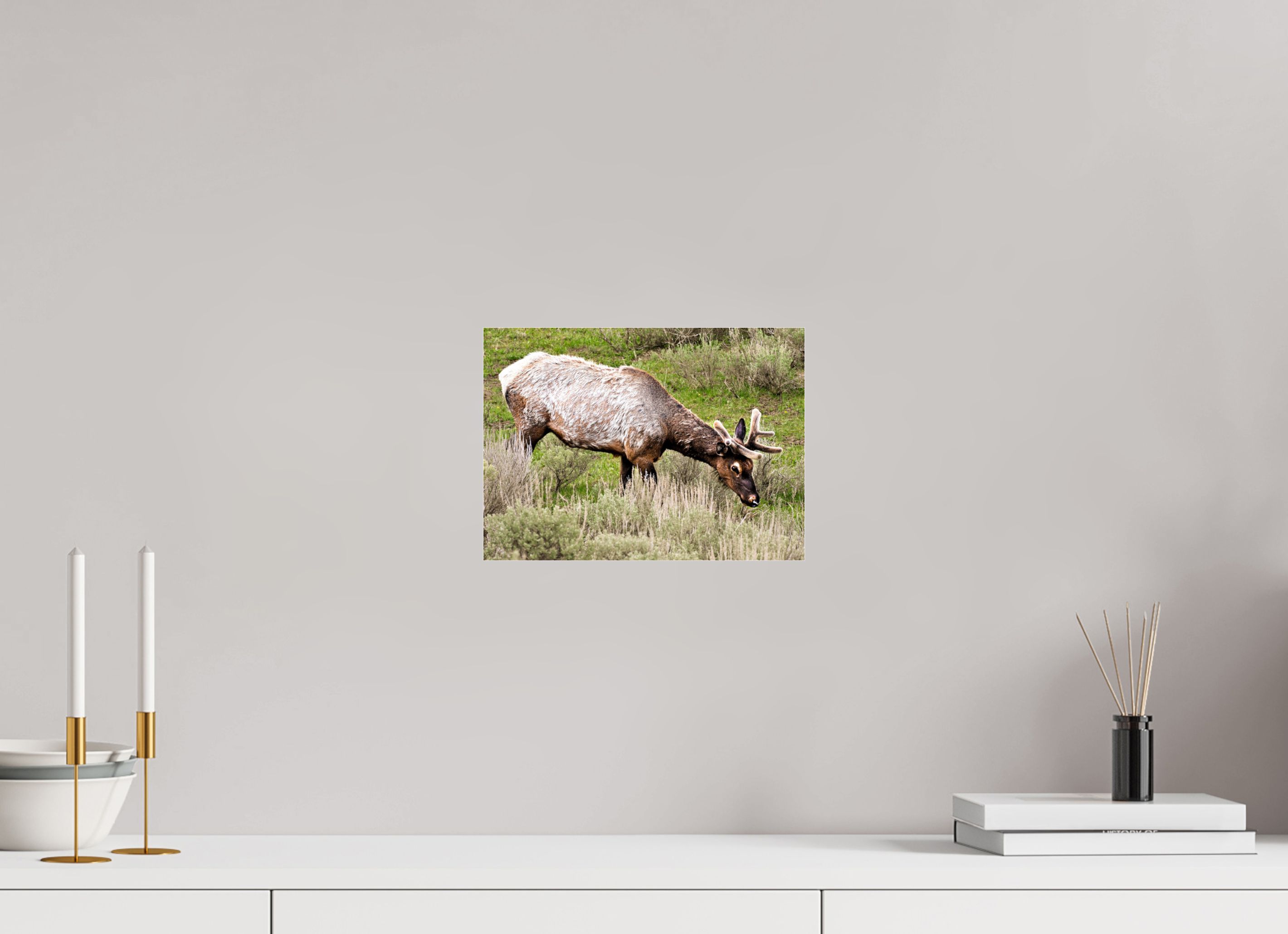 11 x 8″, ACRYLIC Elk