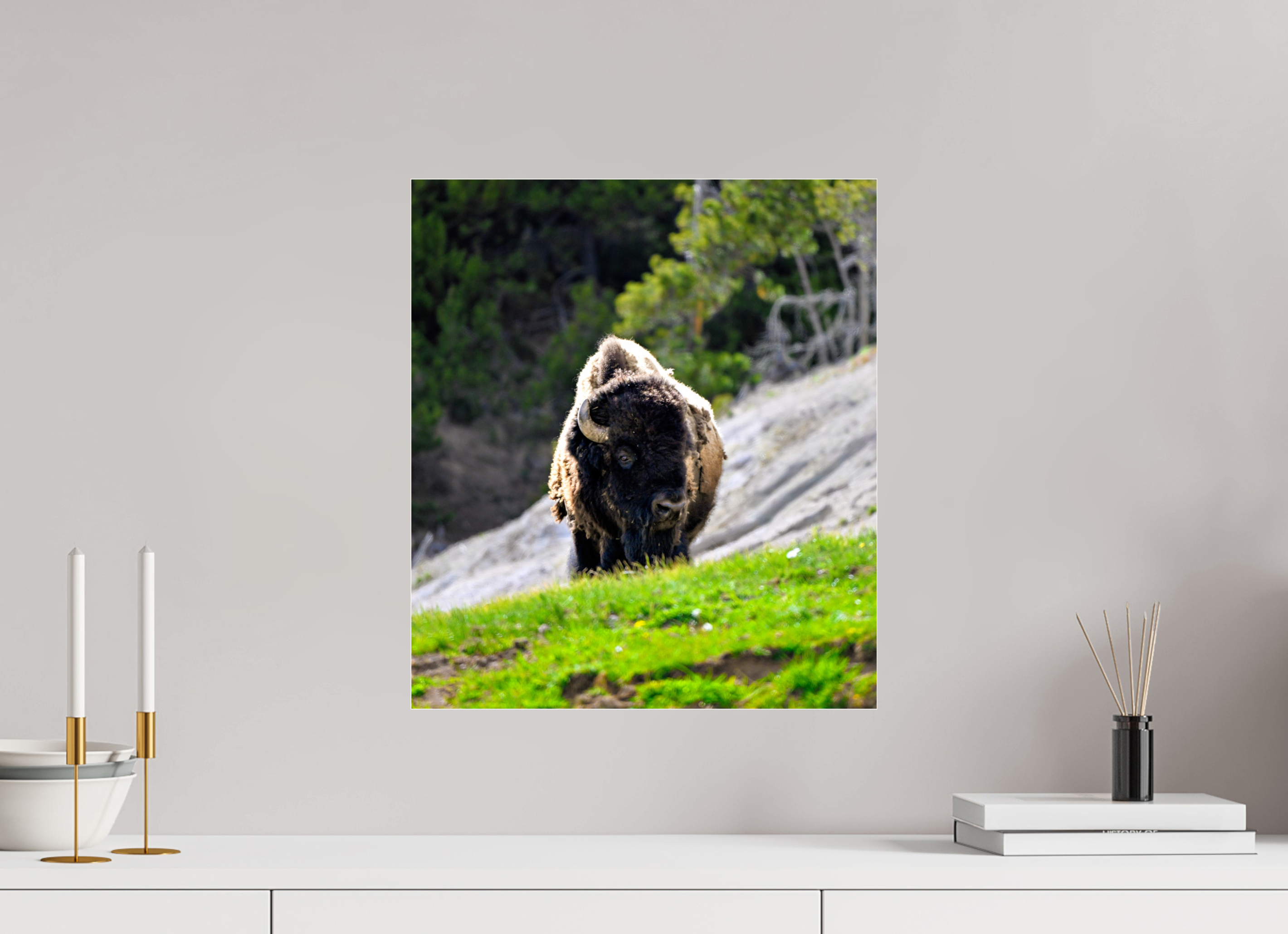 16 x 18.2″, ACRYLIC Bison Portrait