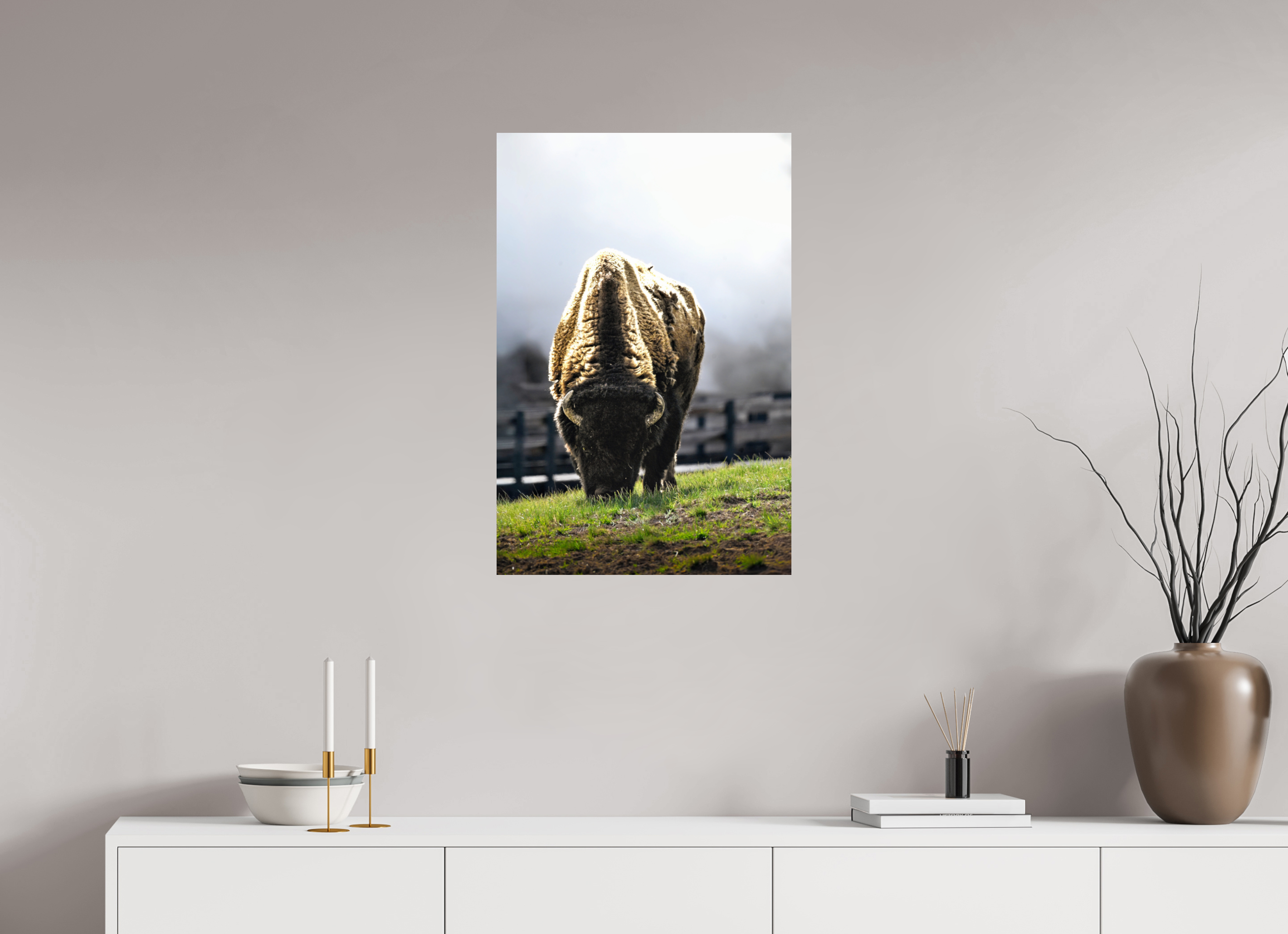 20 x 30″, PHOTO PAPER Bison Grazing