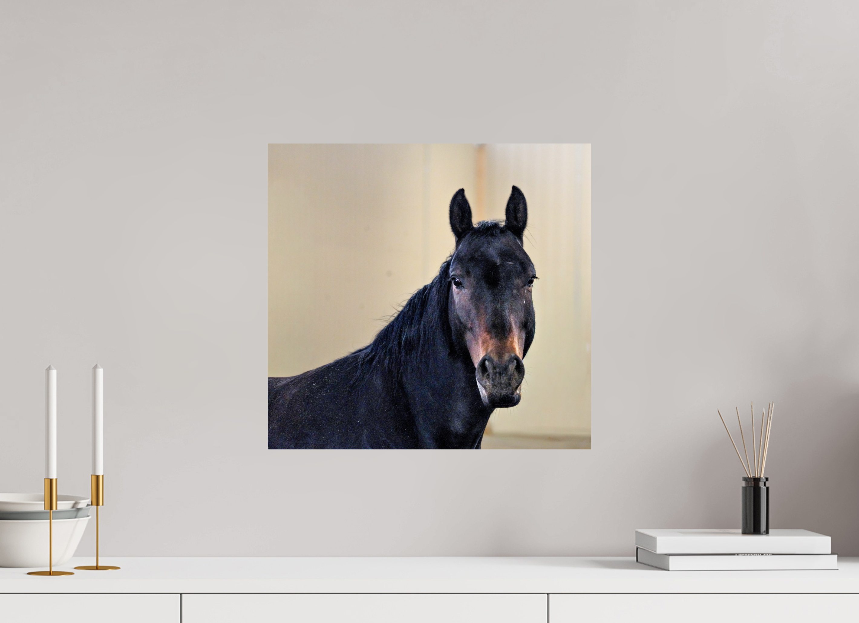 16.9 x 16″, PHOTO PAPER Bella Portrait