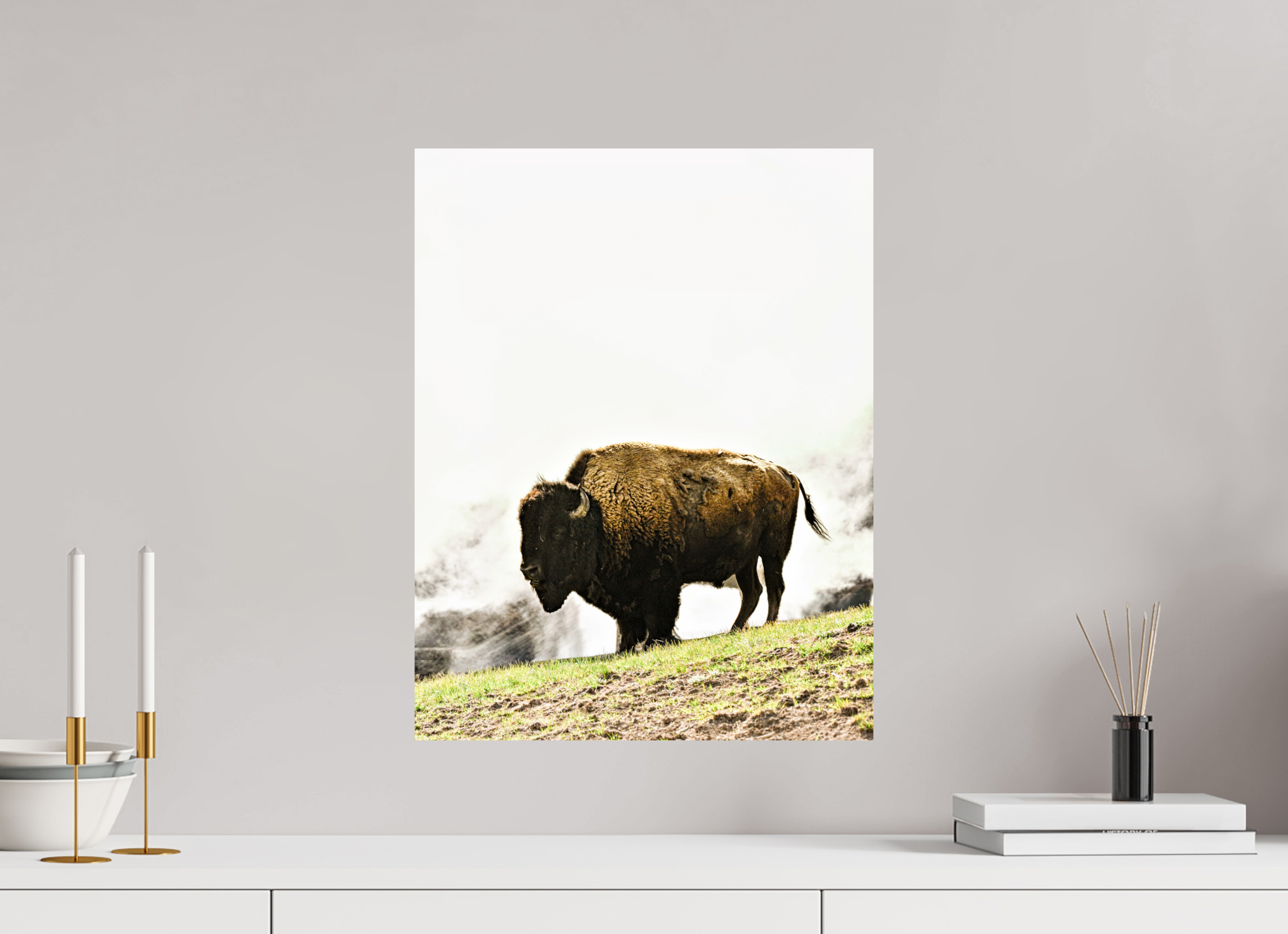 16 x 20.6″, PHOTO PAPER Bison with Steam