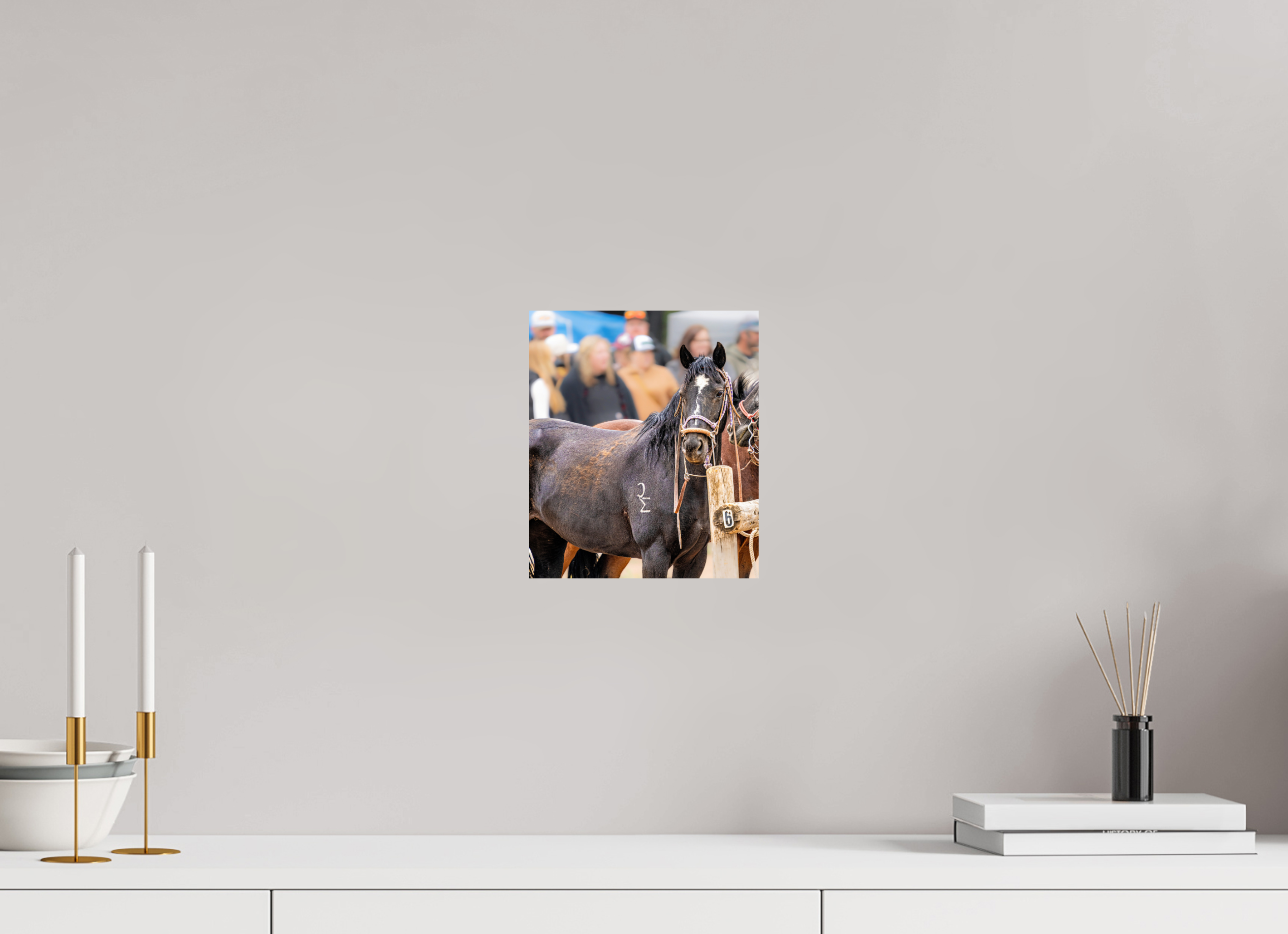 8 x 9.3″, PHOTO PAPER Pack Horse Portrait 16 Web Exclusive