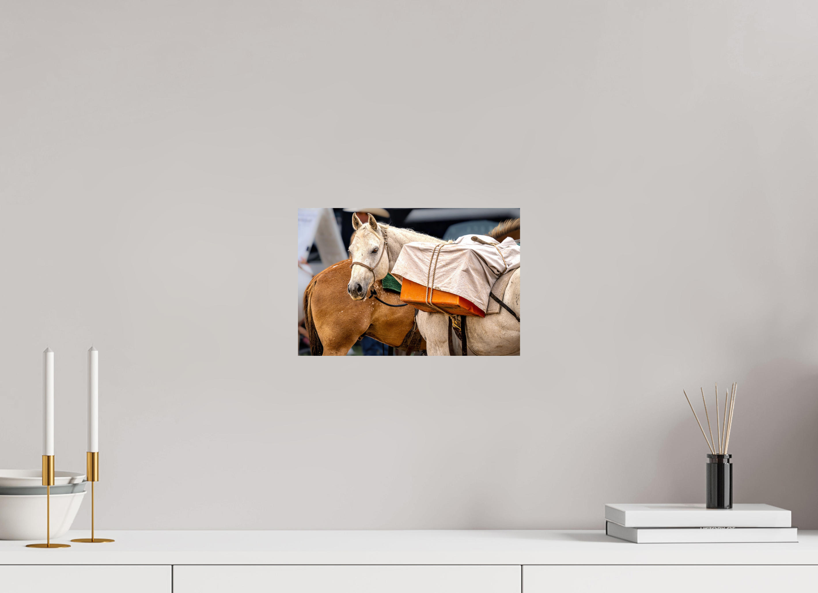 12 x 8″, METAL Pack Horse Portrait 19 Web Exclusive