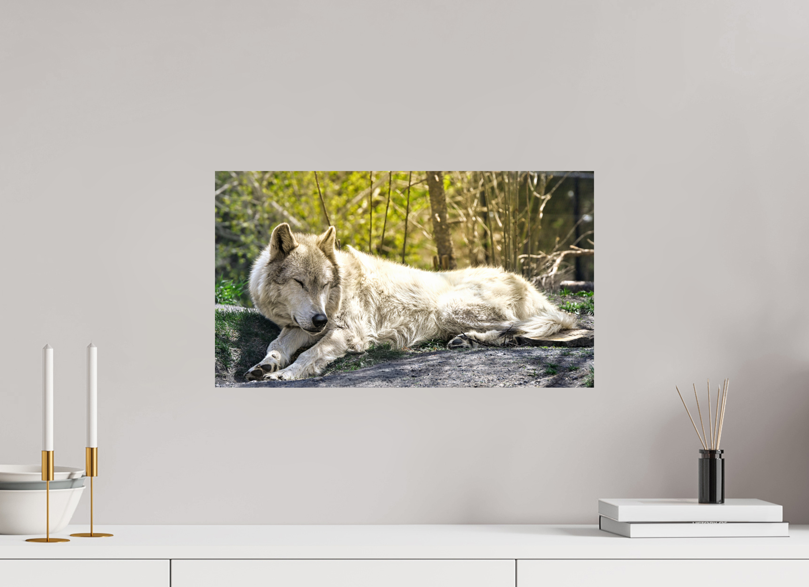 21 x 12″, PHOTO PAPER Wolf Napping